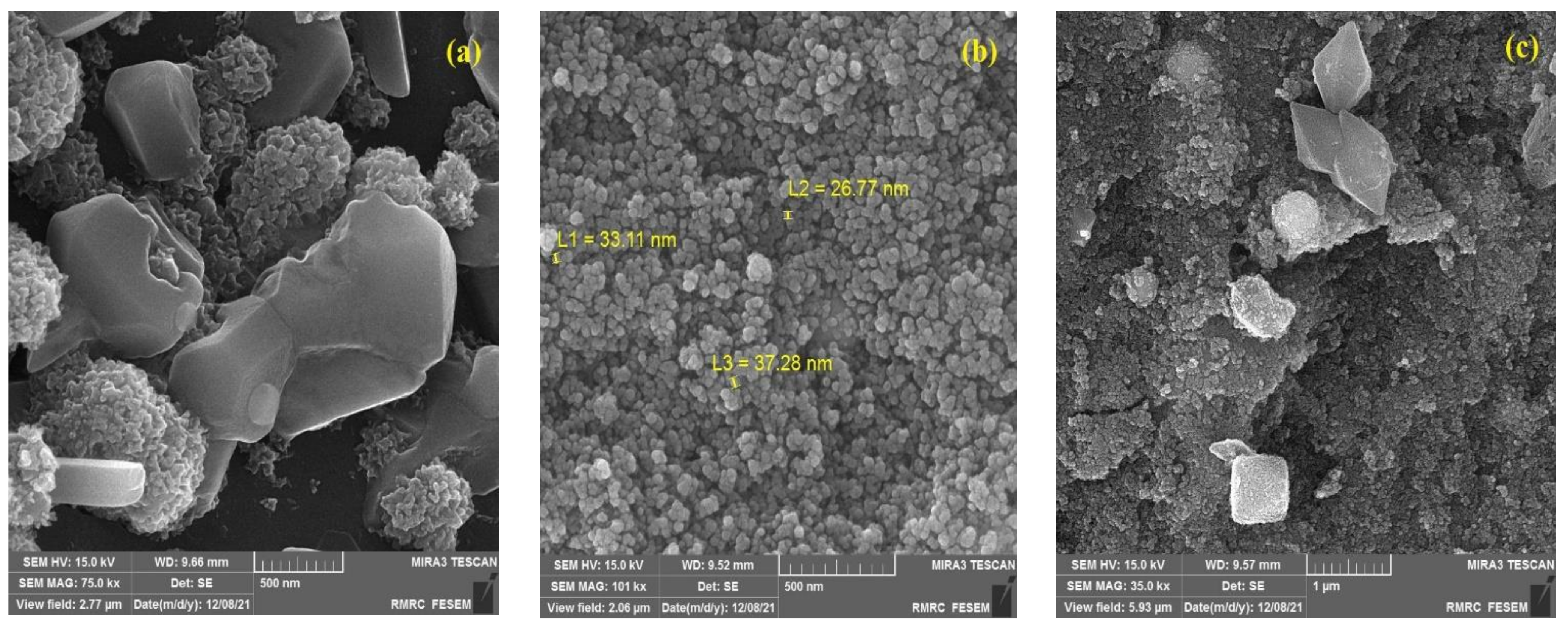 Catalysts 13 00411 g001a