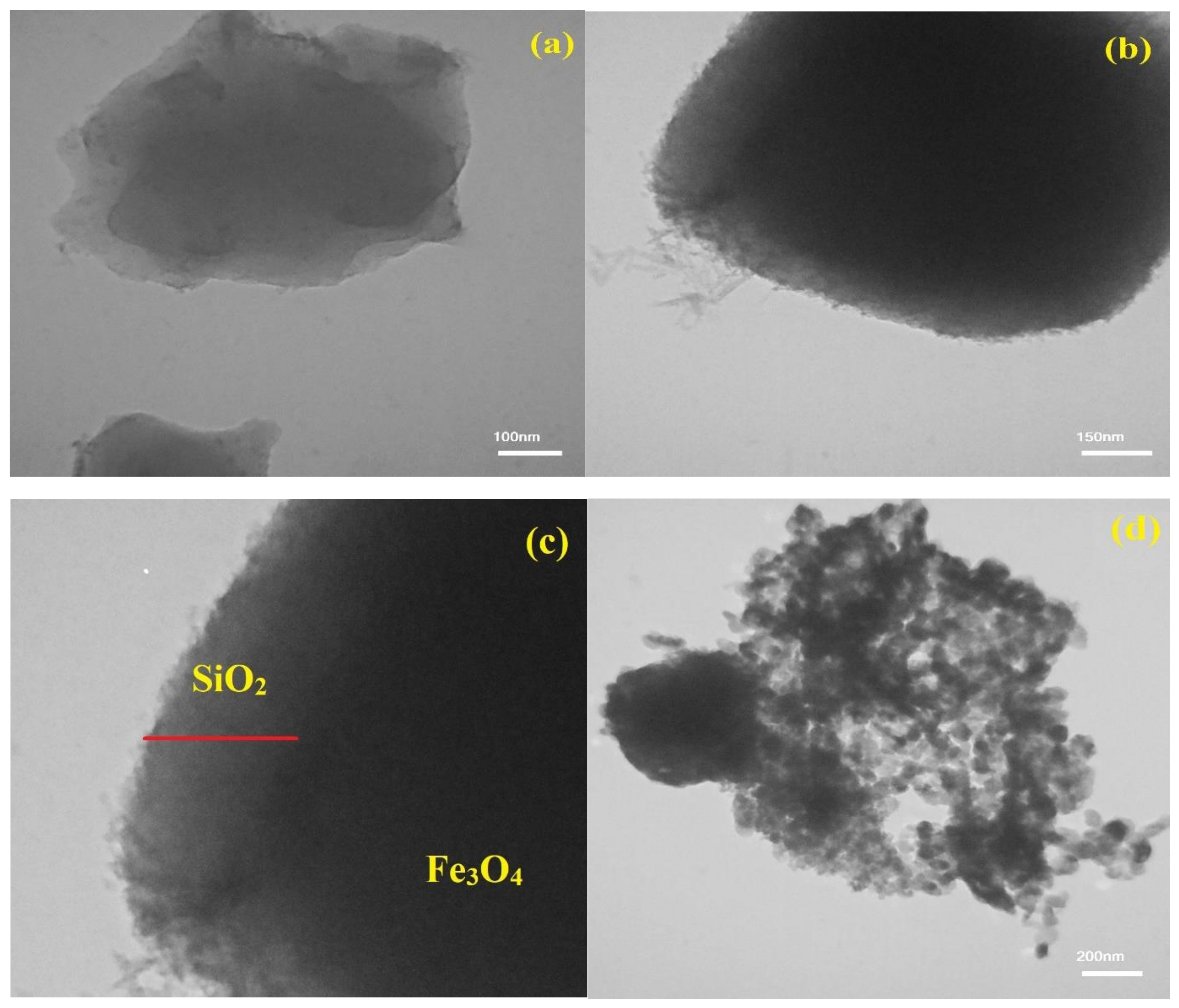 Catalysts 13 00411 g002