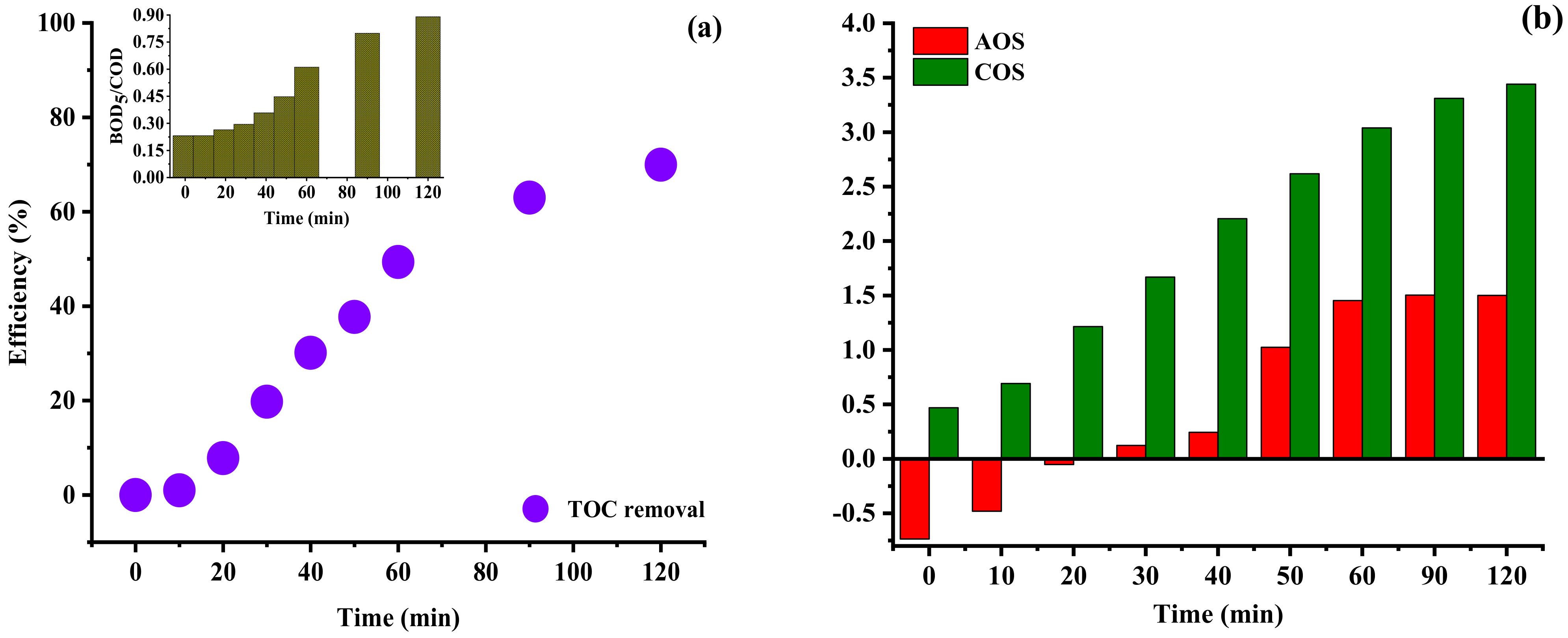 Catalysts 13 00411 g005a