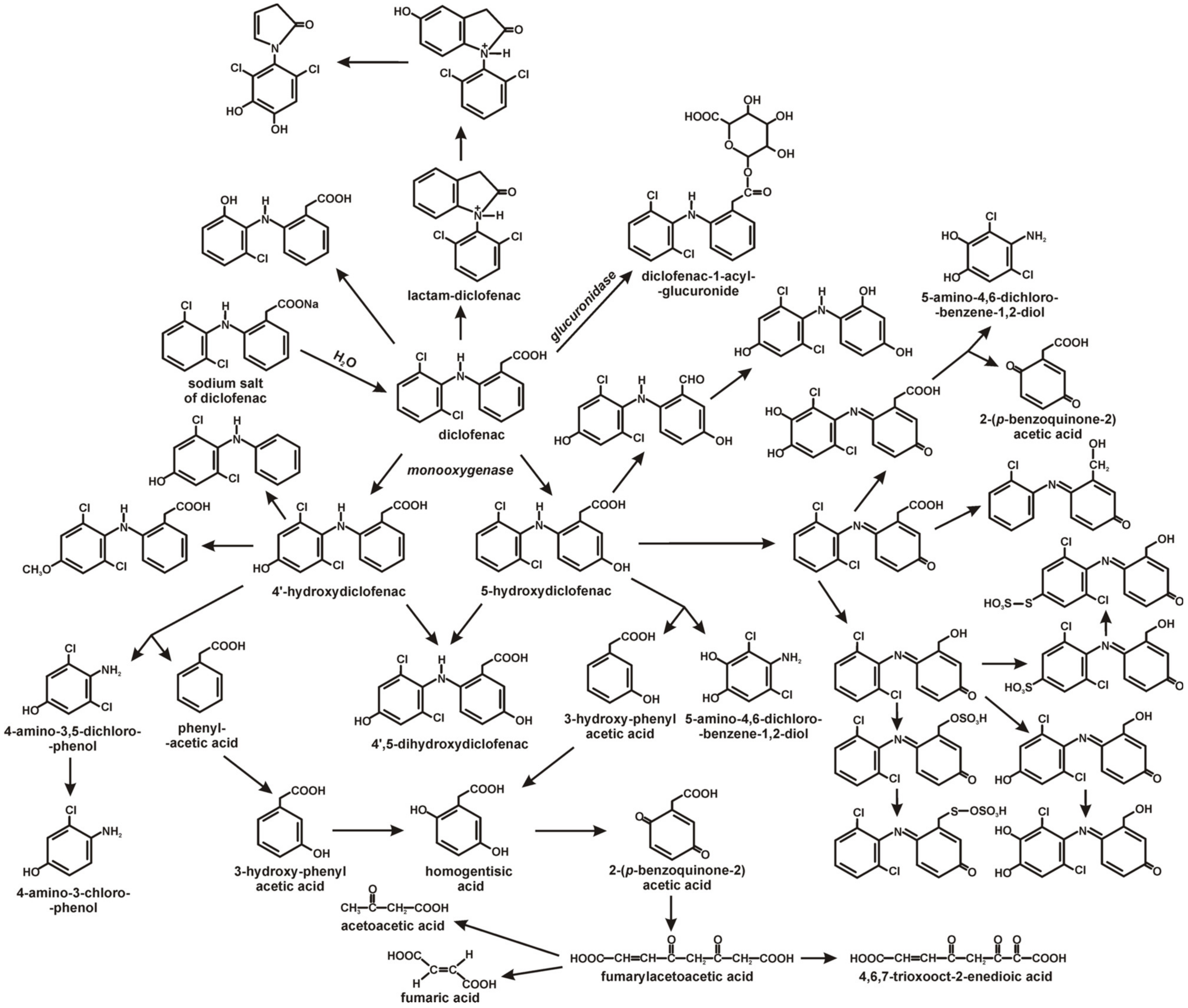 Catalysts 13 00412 g002