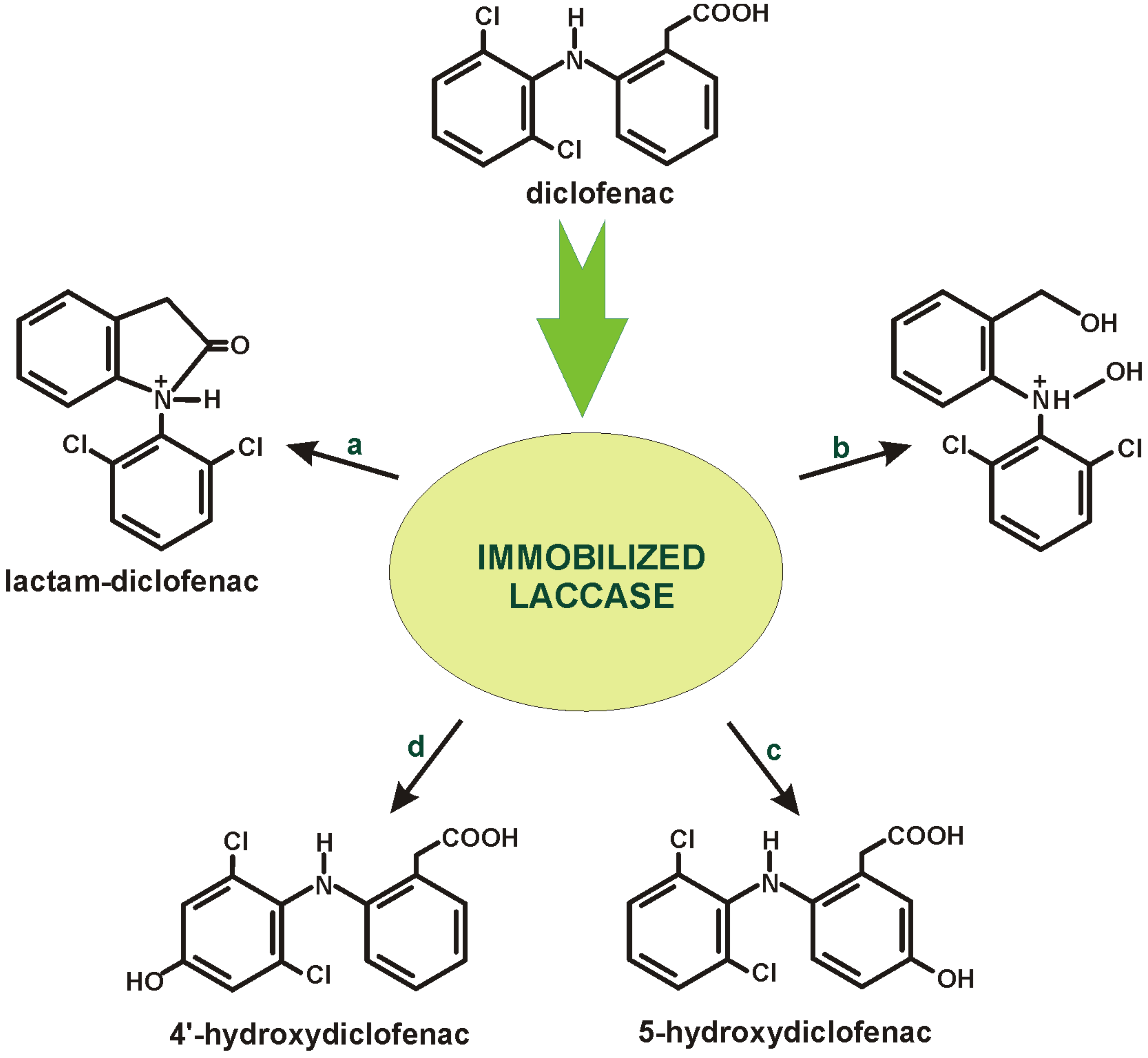 Catalysts 13 00412 g003 Catalysts 13 00412 g003