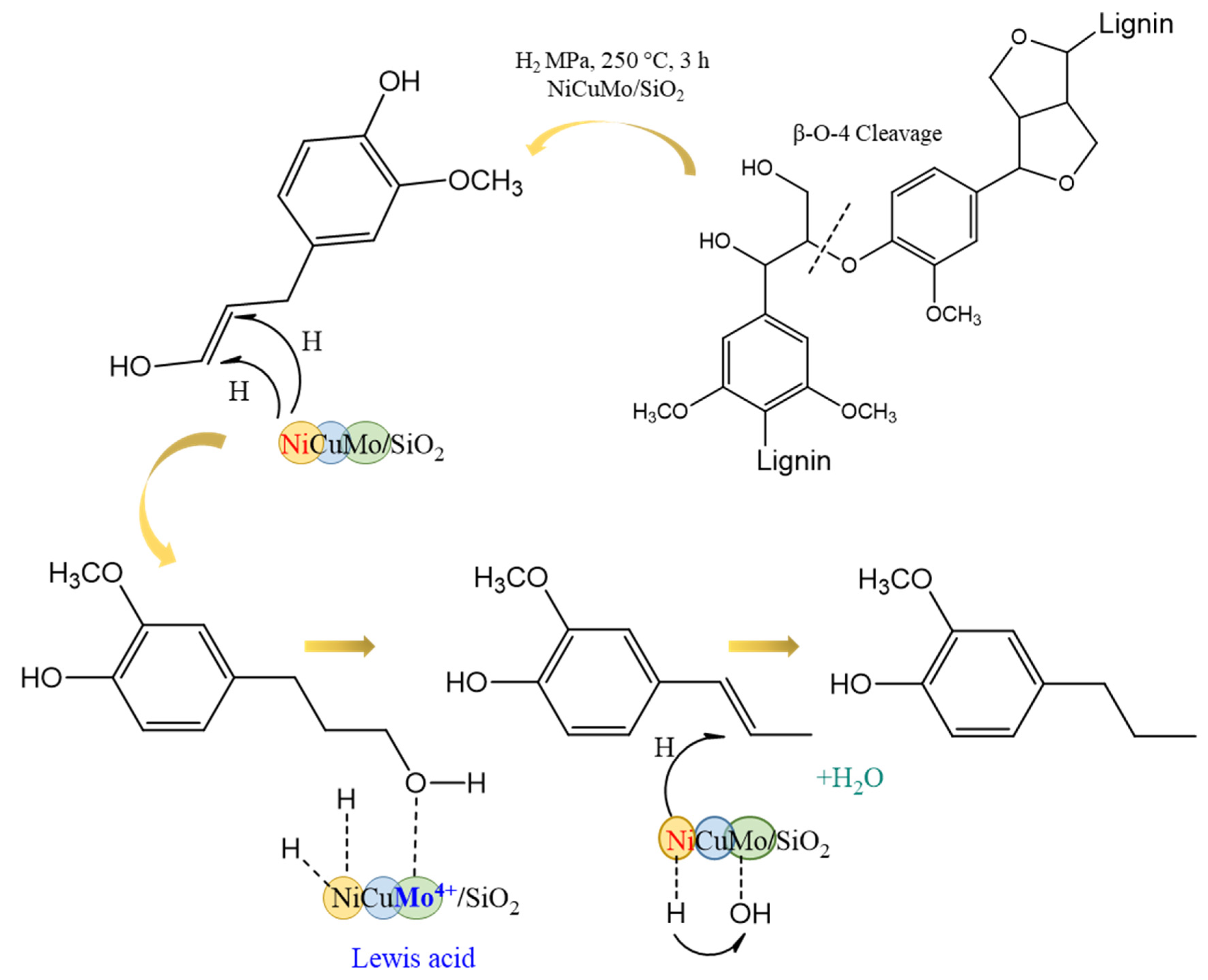 Catalysts 13 00413 g007