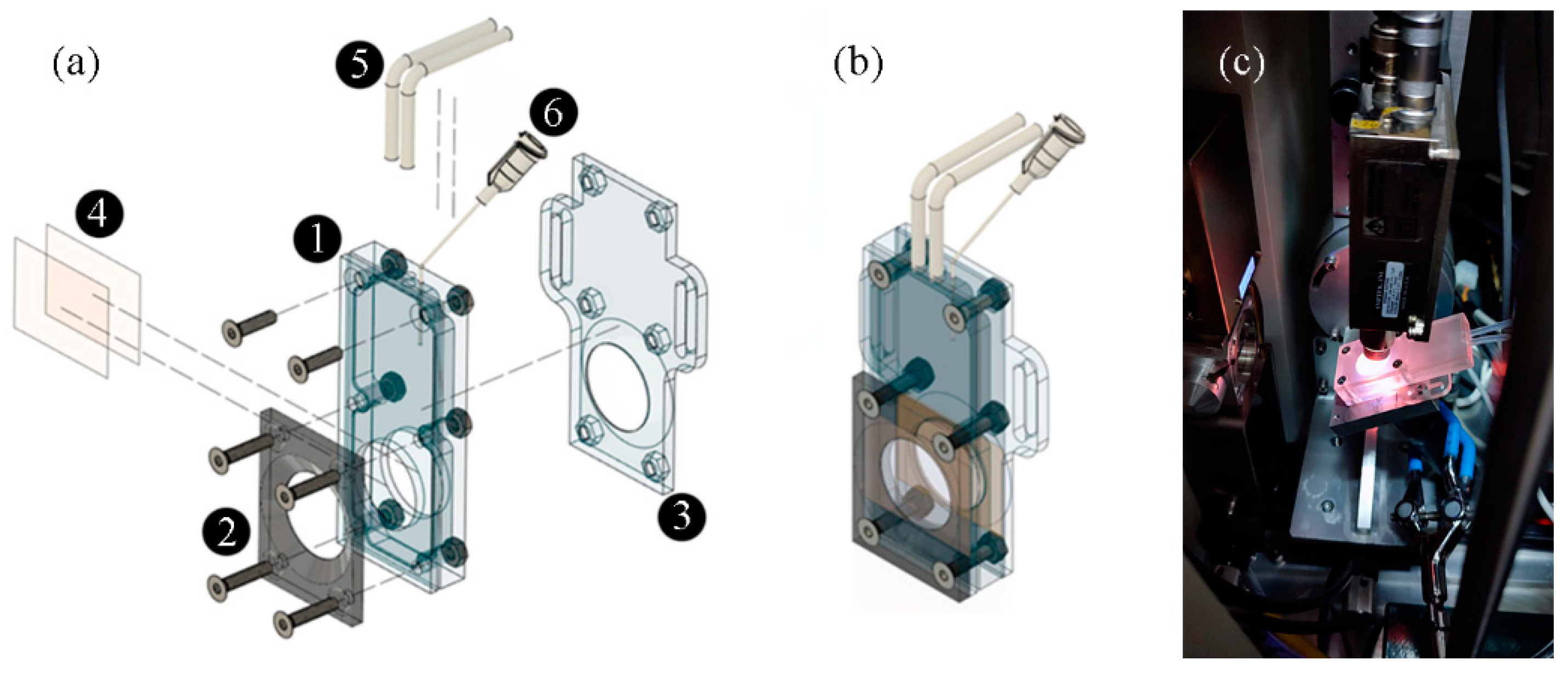Catalysts 13 00414 g001 Catalysts 13 00414 g001