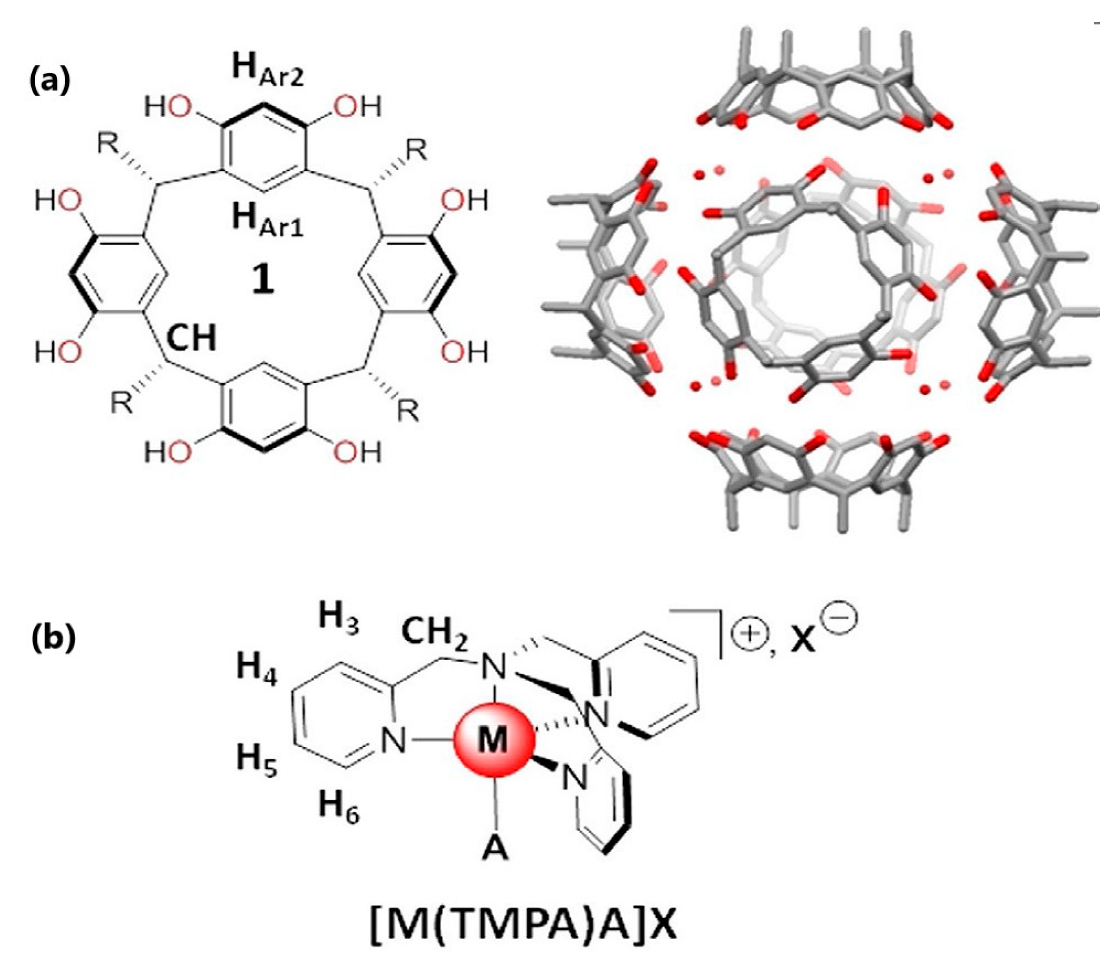 Catalysts 13 00415 g003