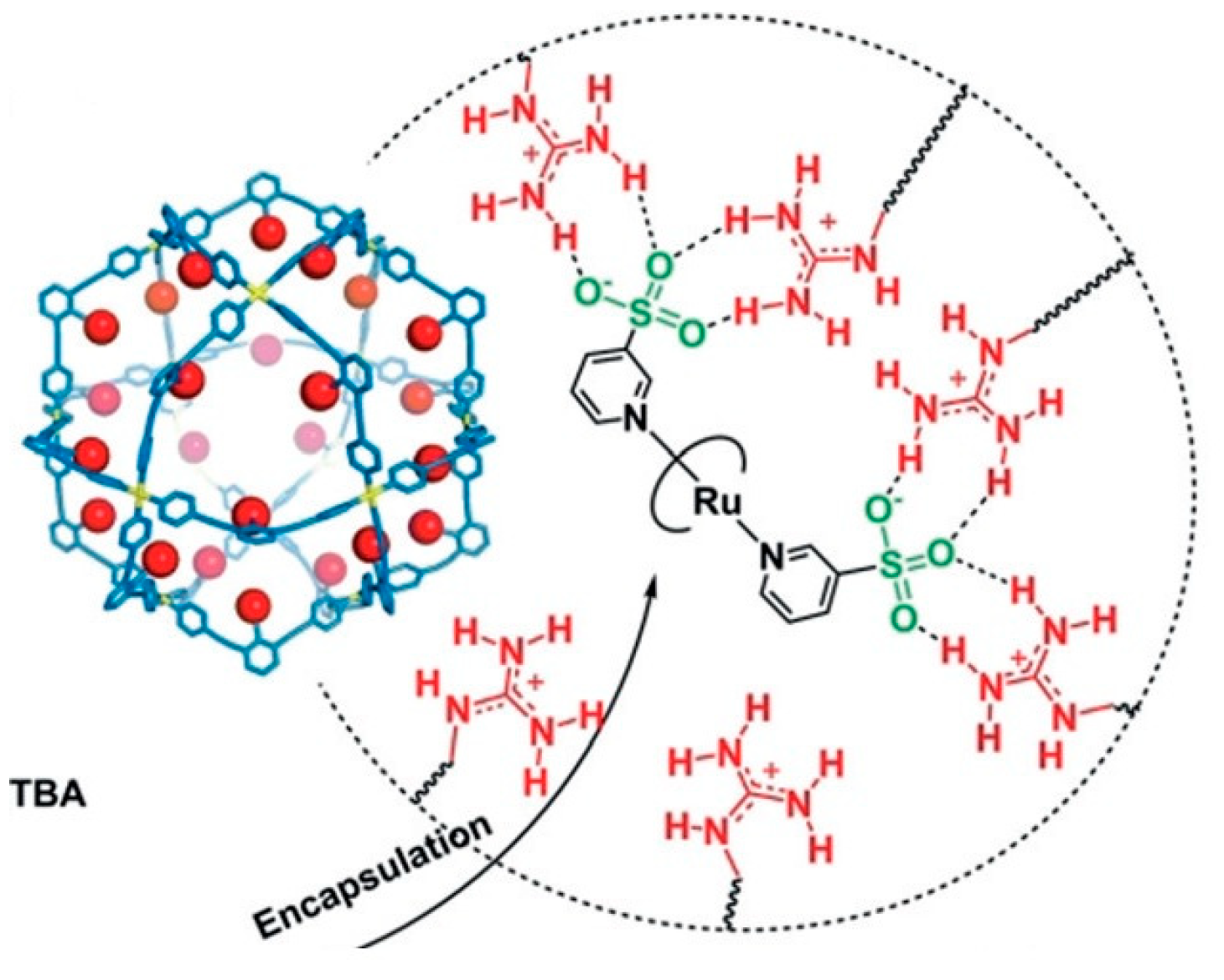 Catalysts 13 00415 g008