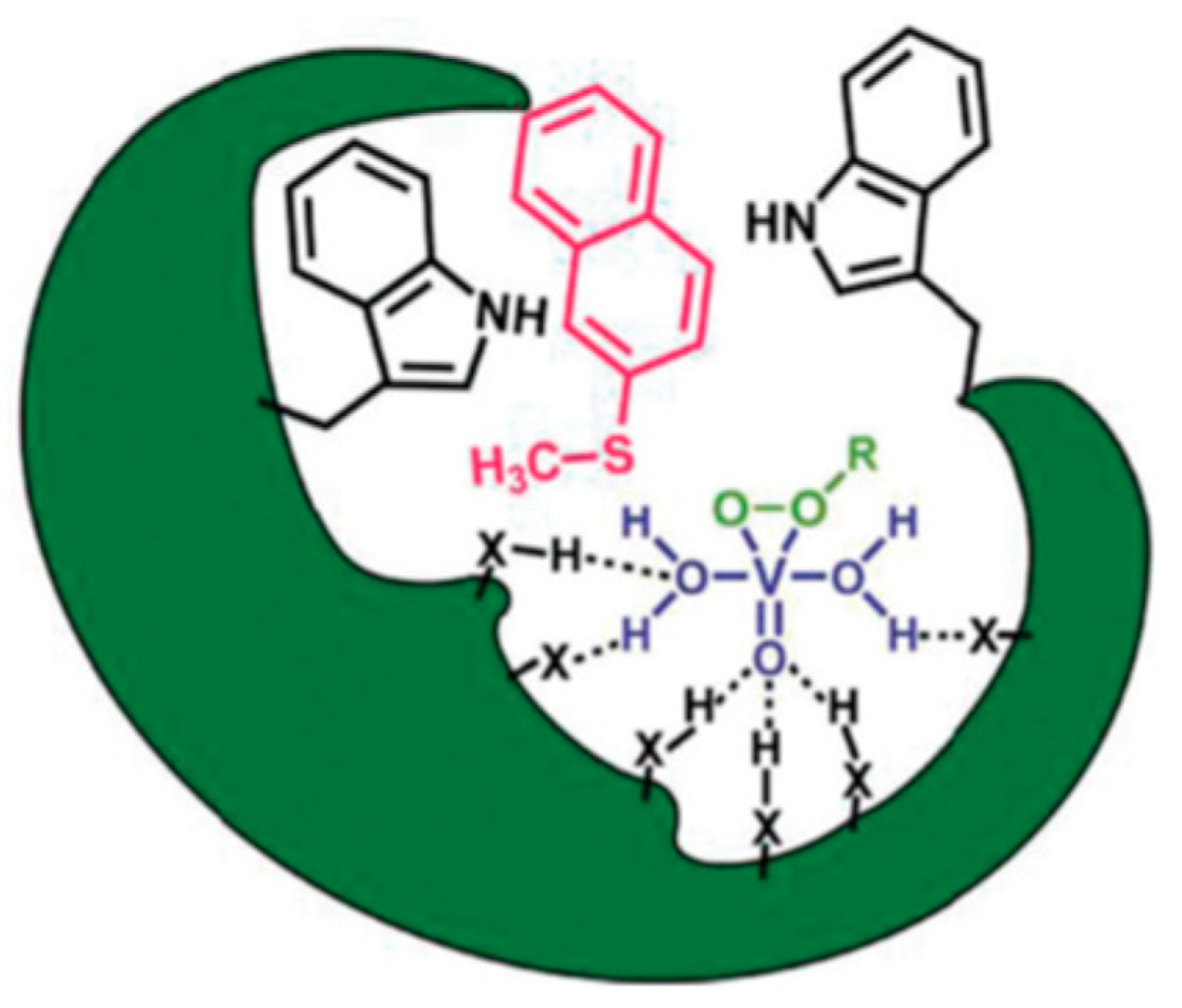 Catalysts 13 00415 g011