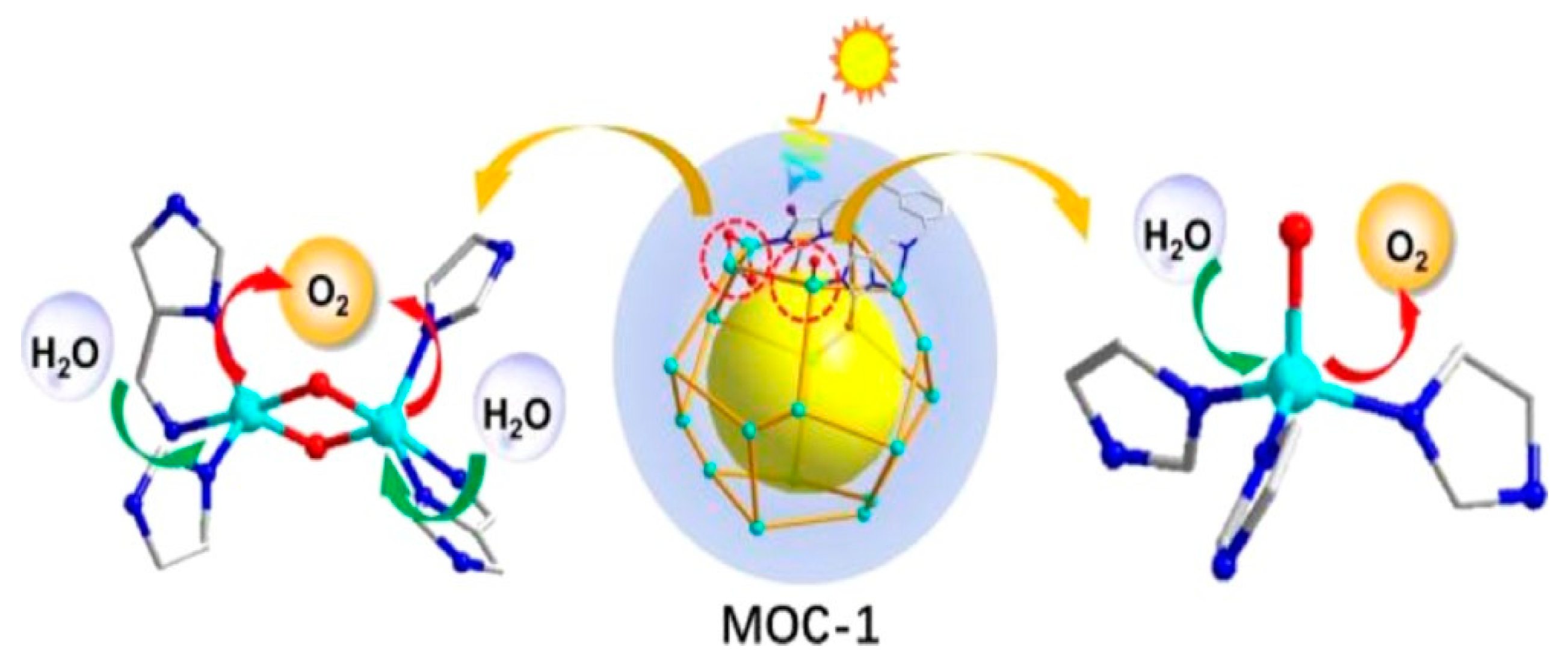 Catalysts 13 00415 g012