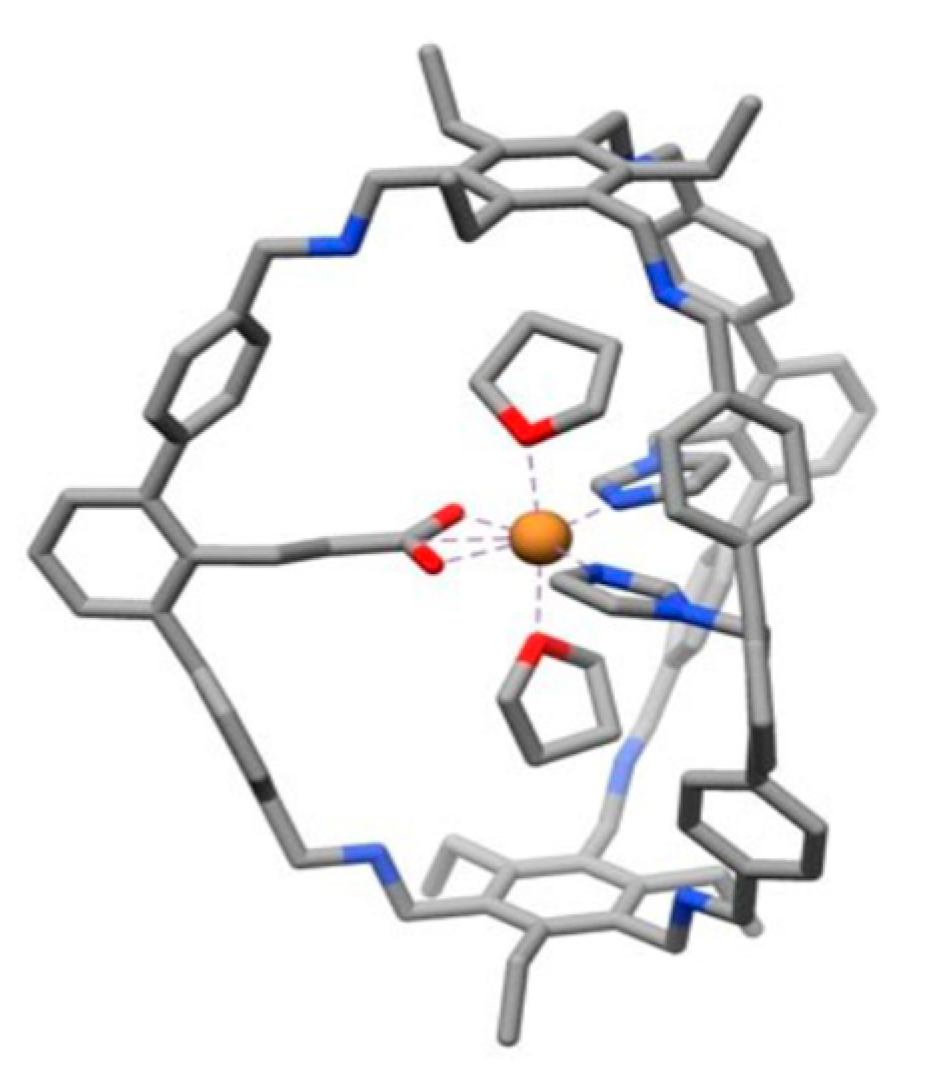 Catalysts 13 00415 g015