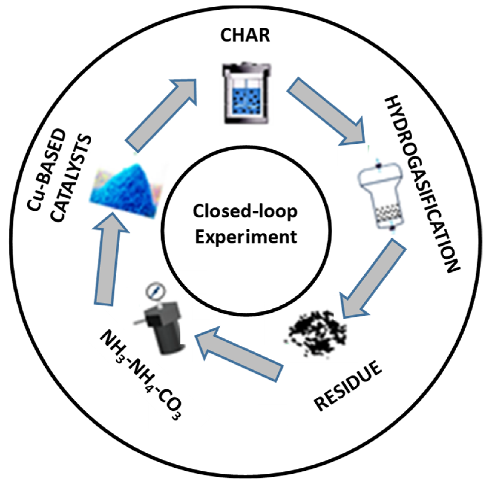 Catalysts 13 00417 g013 Catalysts 13 00417 g013
