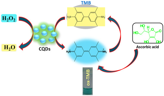 Terahertz Electrodynamics in Transition Metal Oxides - Kumar