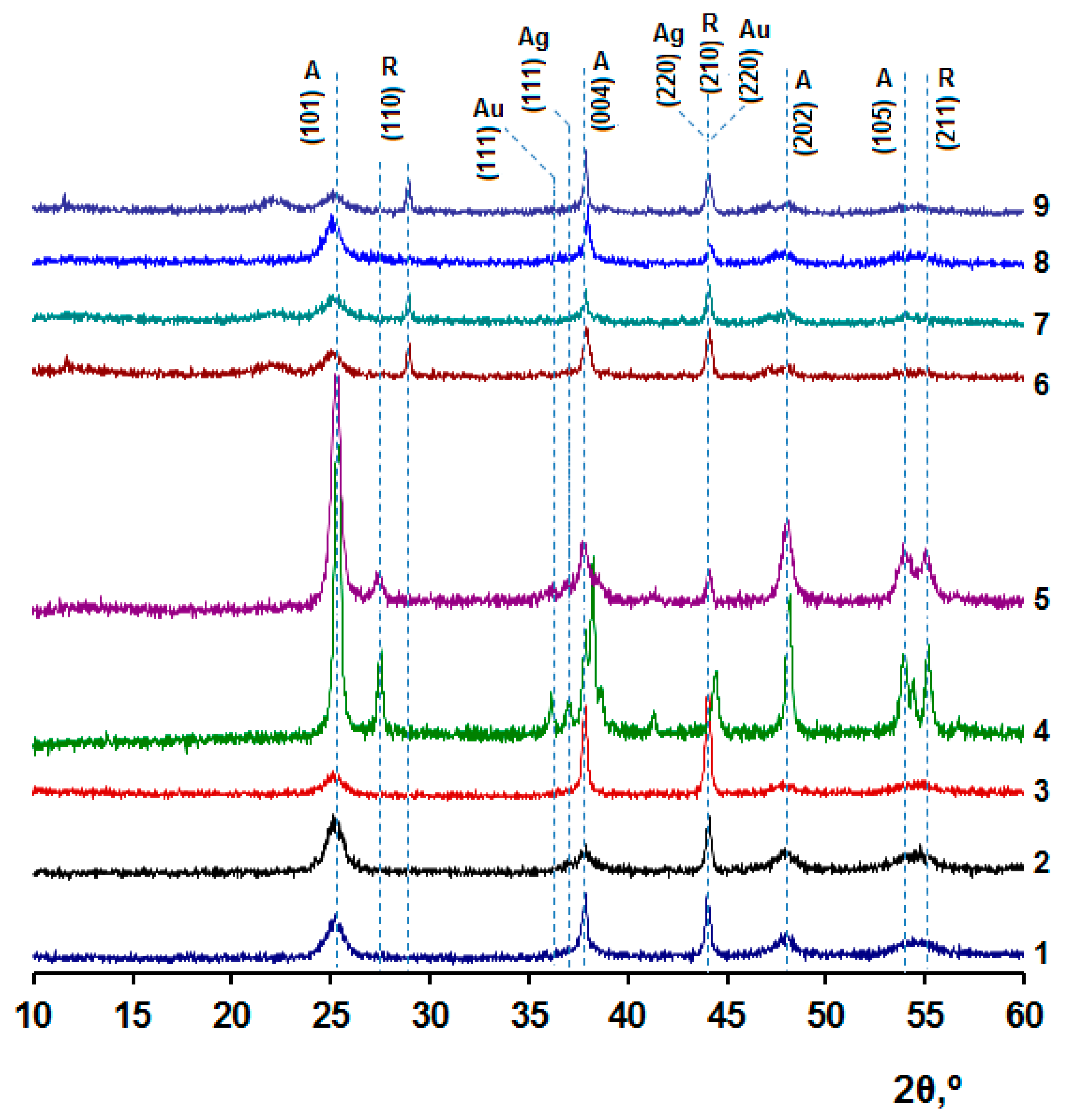 Catalysts 13 00423 g001