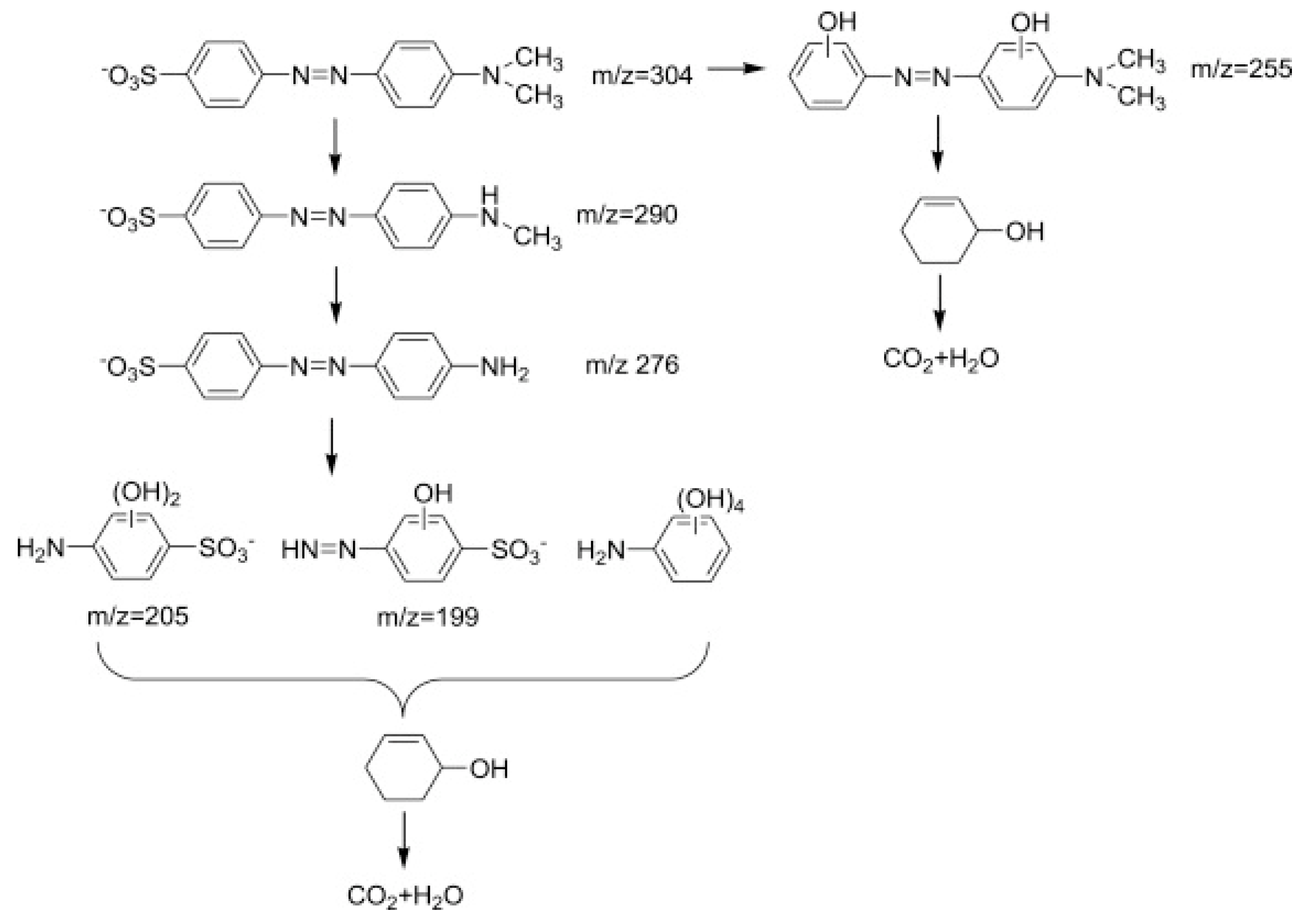 Catalysts 13 00423 sch001
