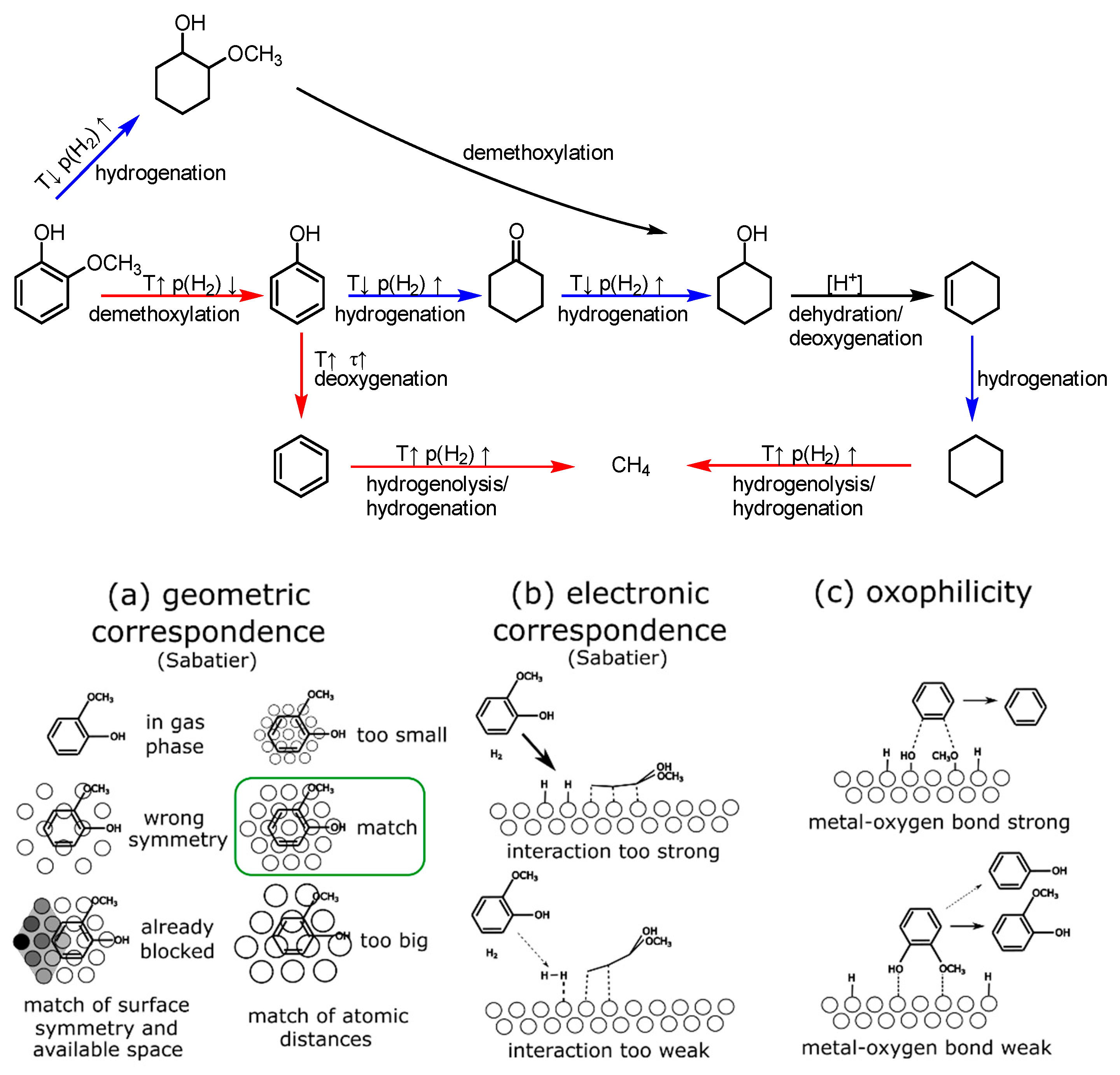 Catalysts 13 00425 g001