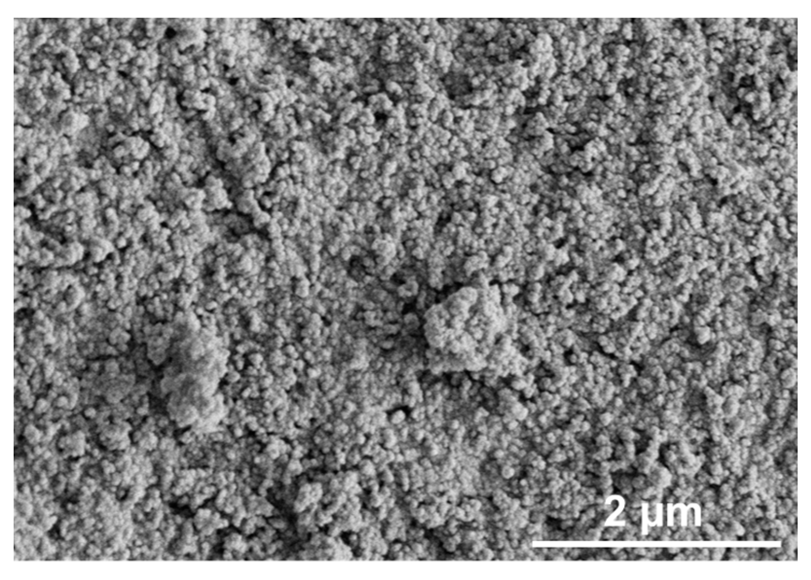 Catalysts 13 00425 g003