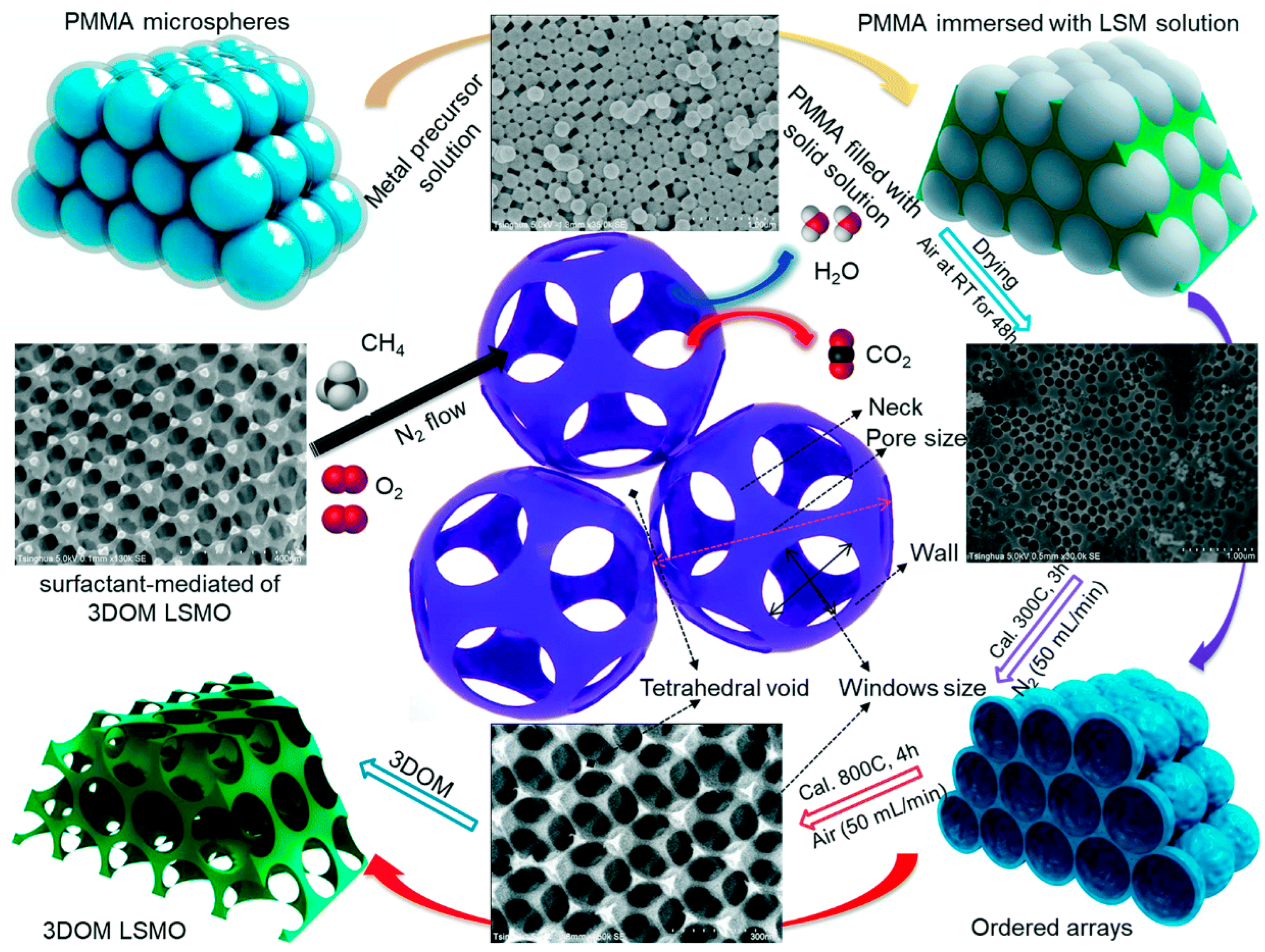 Catalysts 13 00427 g002 Catalysts 13 00427 g002