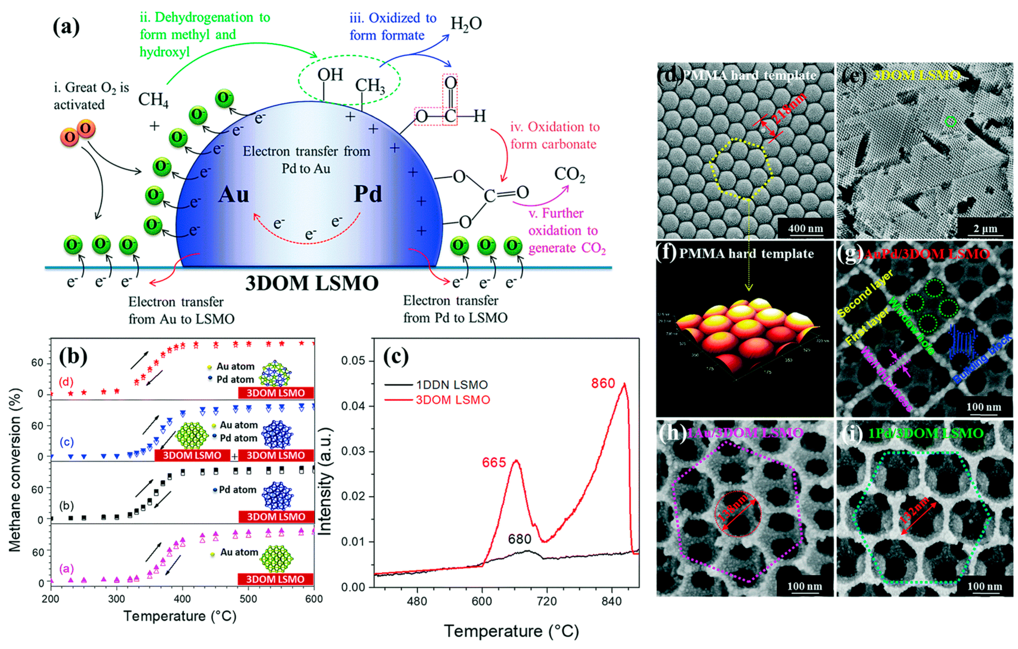 Catalysts 13 00427 g010 Catalysts 13 00427 g010