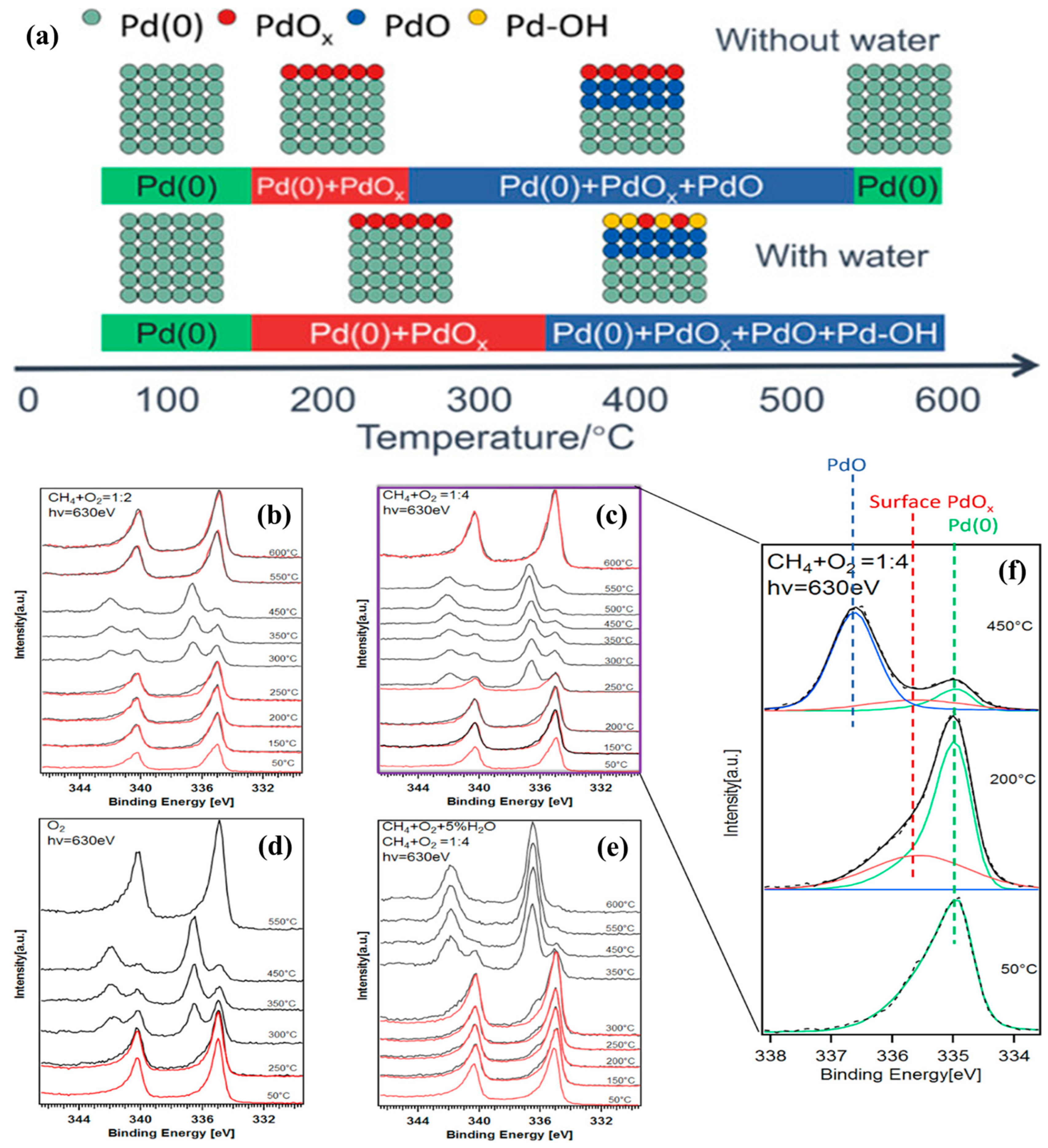 Catalysts 13 00427 g012 Catalysts 13 00427 g012