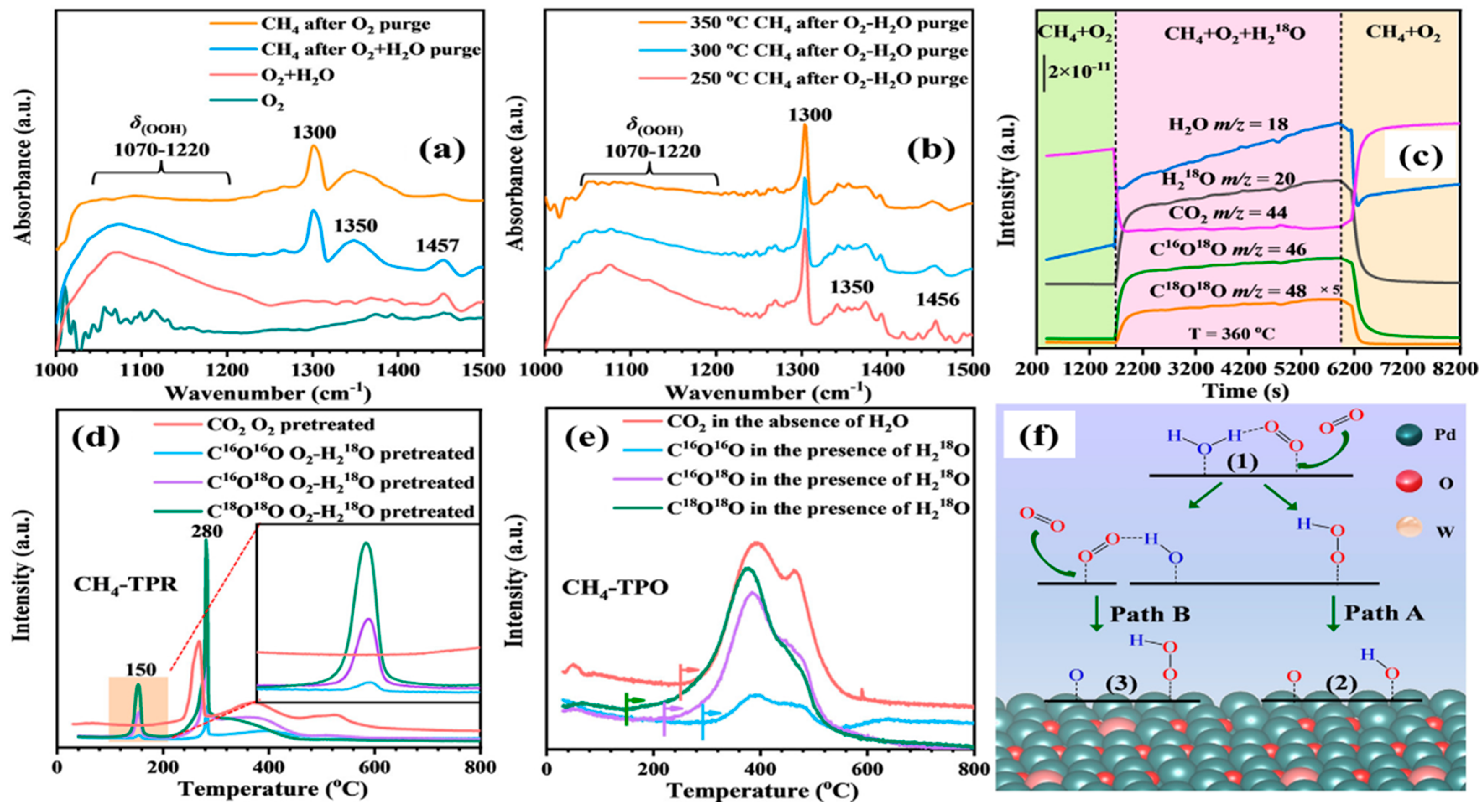 Catalysts 13 00427 g014 Catalysts 13 00427 g014