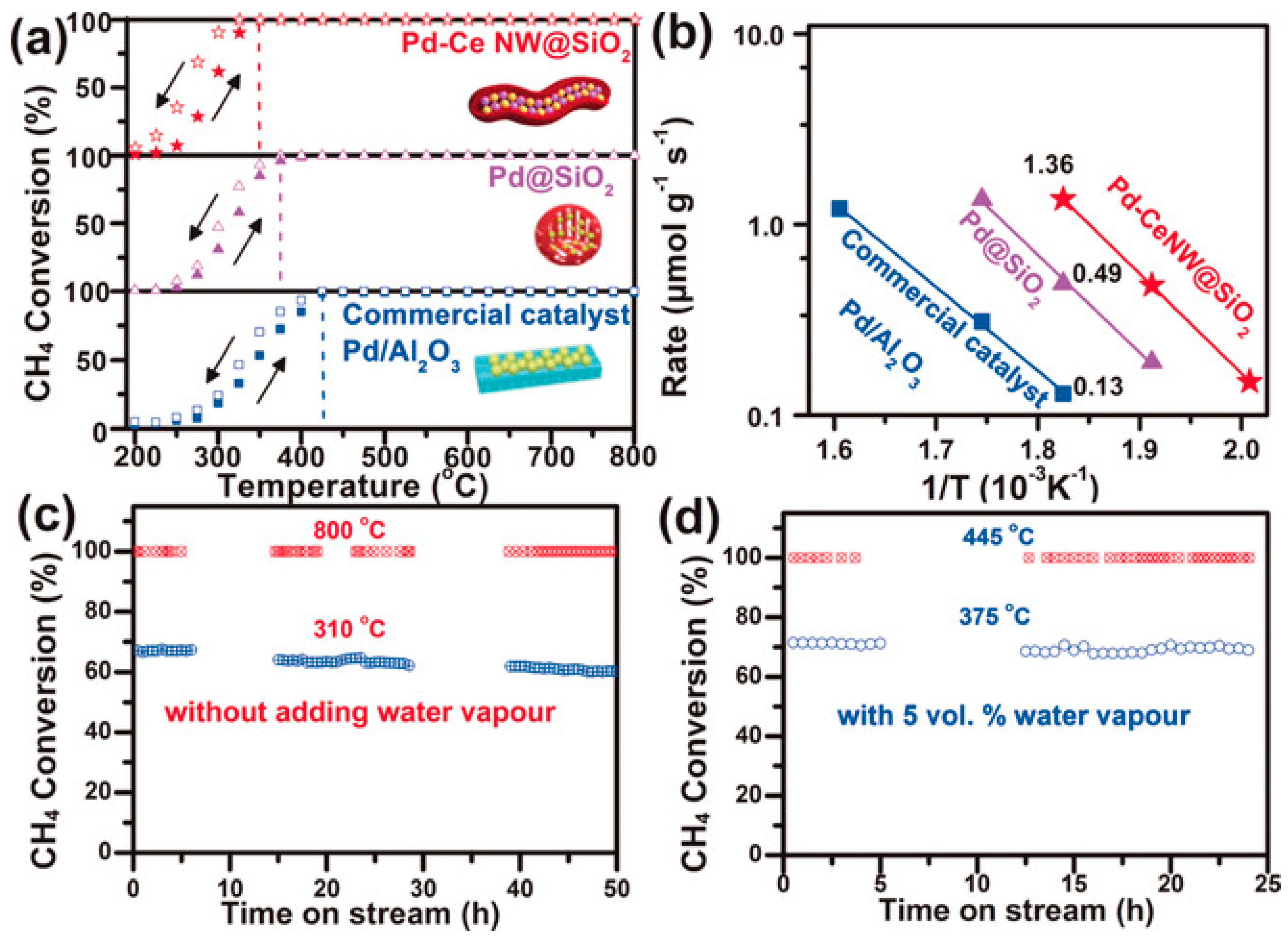 Catalysts 13 00427 g018 Catalysts 13 00427 g018