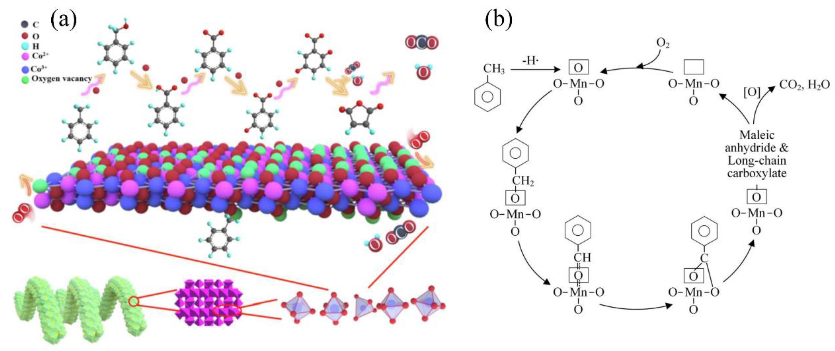 Catalysts 13 00429 g003 Catalysts 13 00429 g003