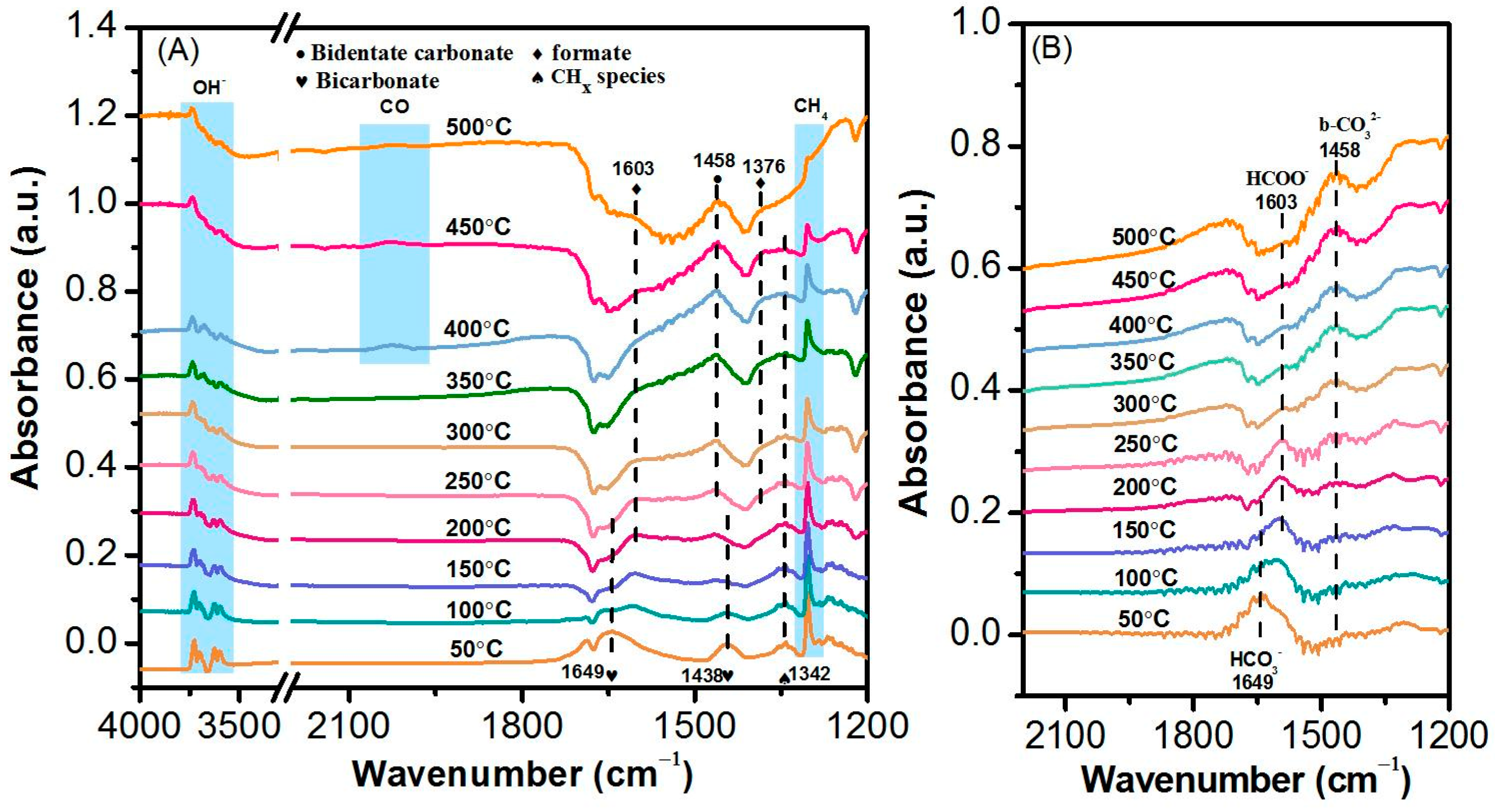 Catalysts 13 00430 g011