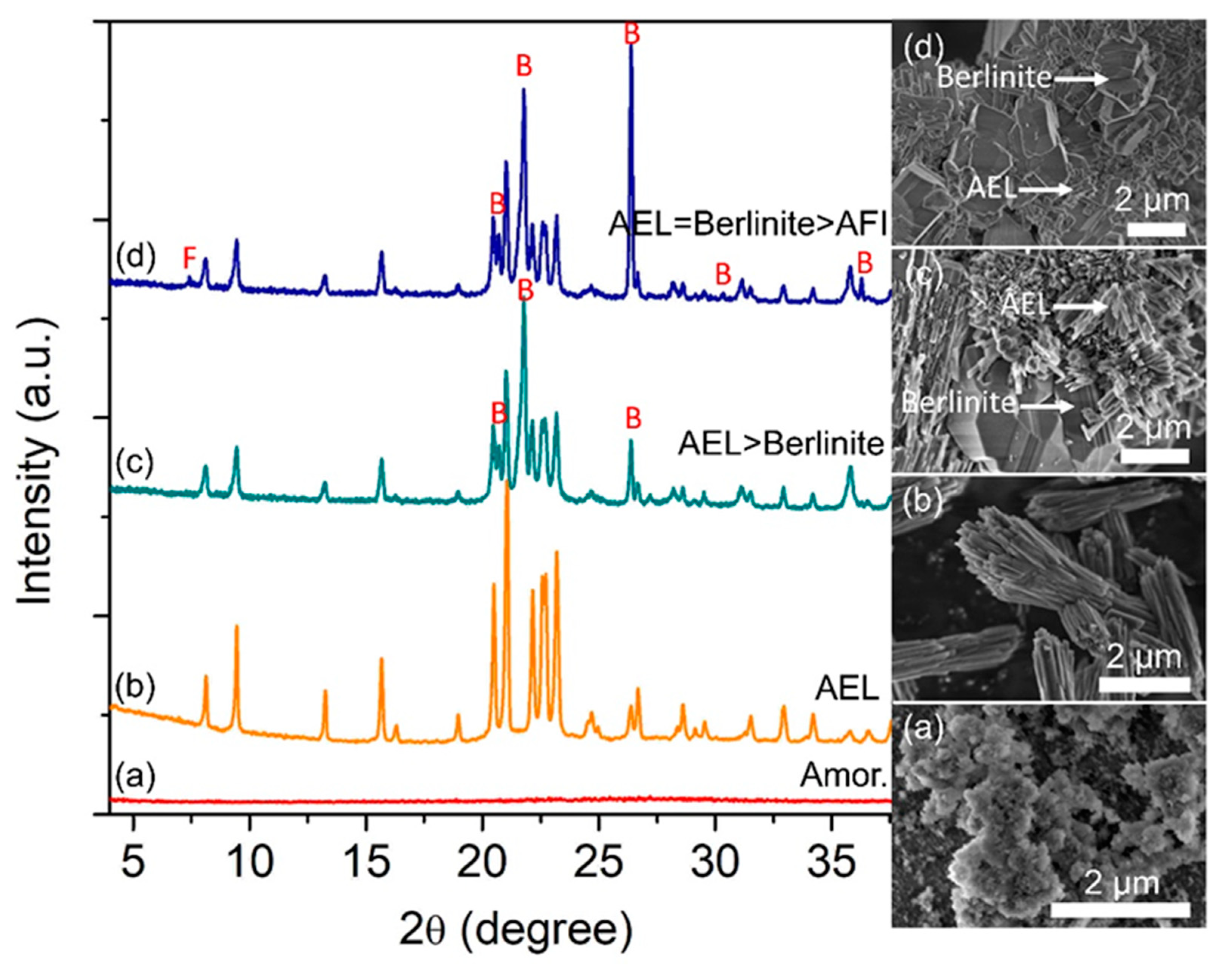 Catalysts 13 00433 g003