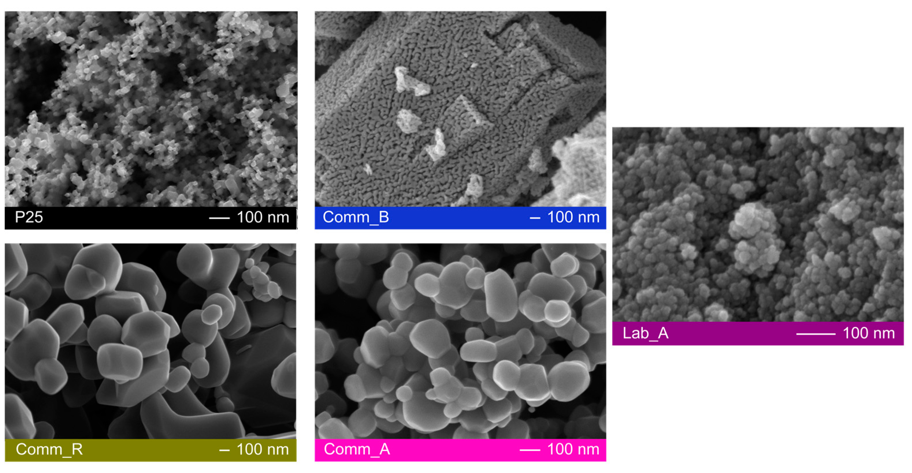 Catalysts 13 00434 g002