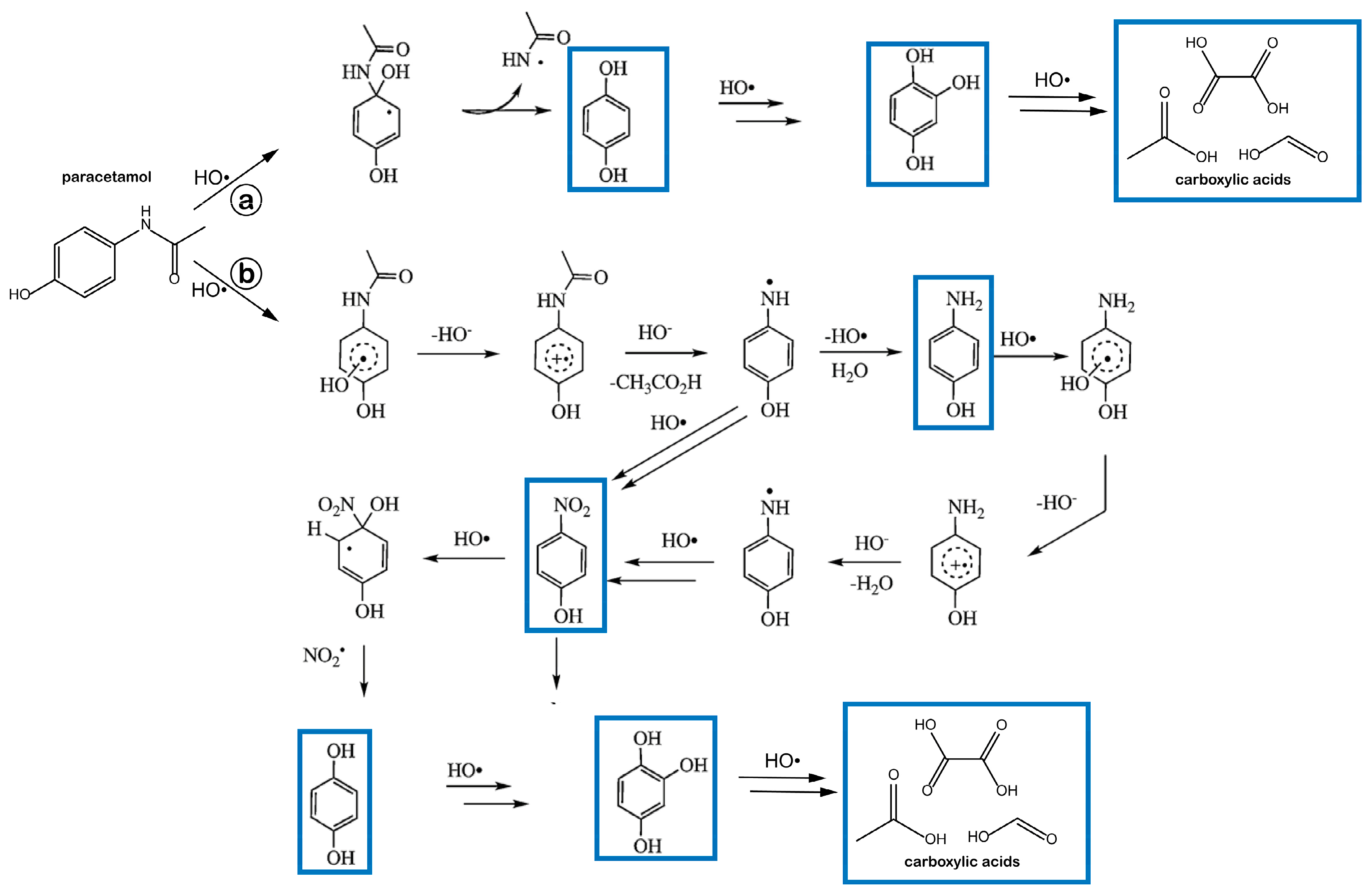 Catalysts 13 00434 sch002