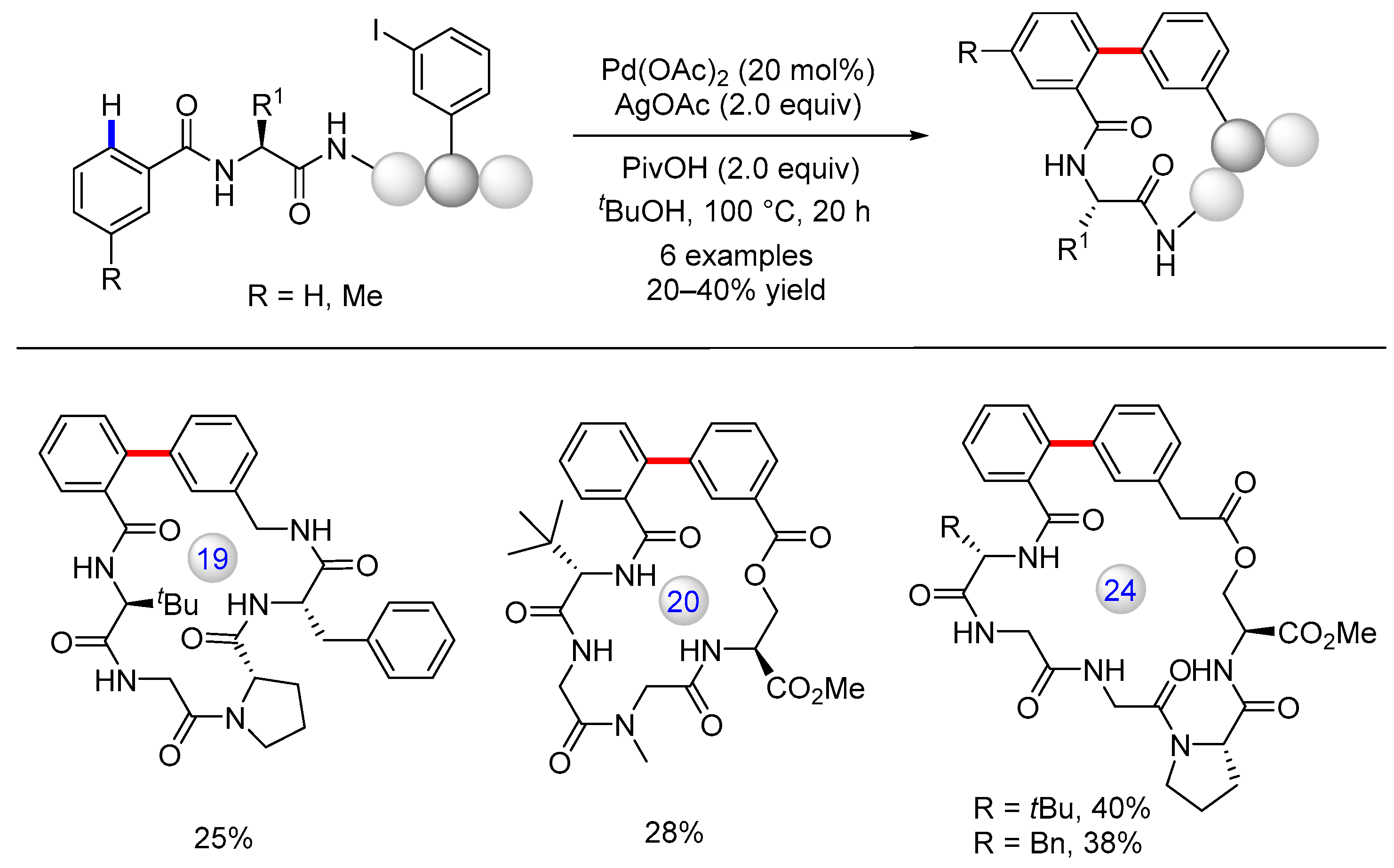 Catalysts 13 00438 g012 Catalysts 13 00438 g012
