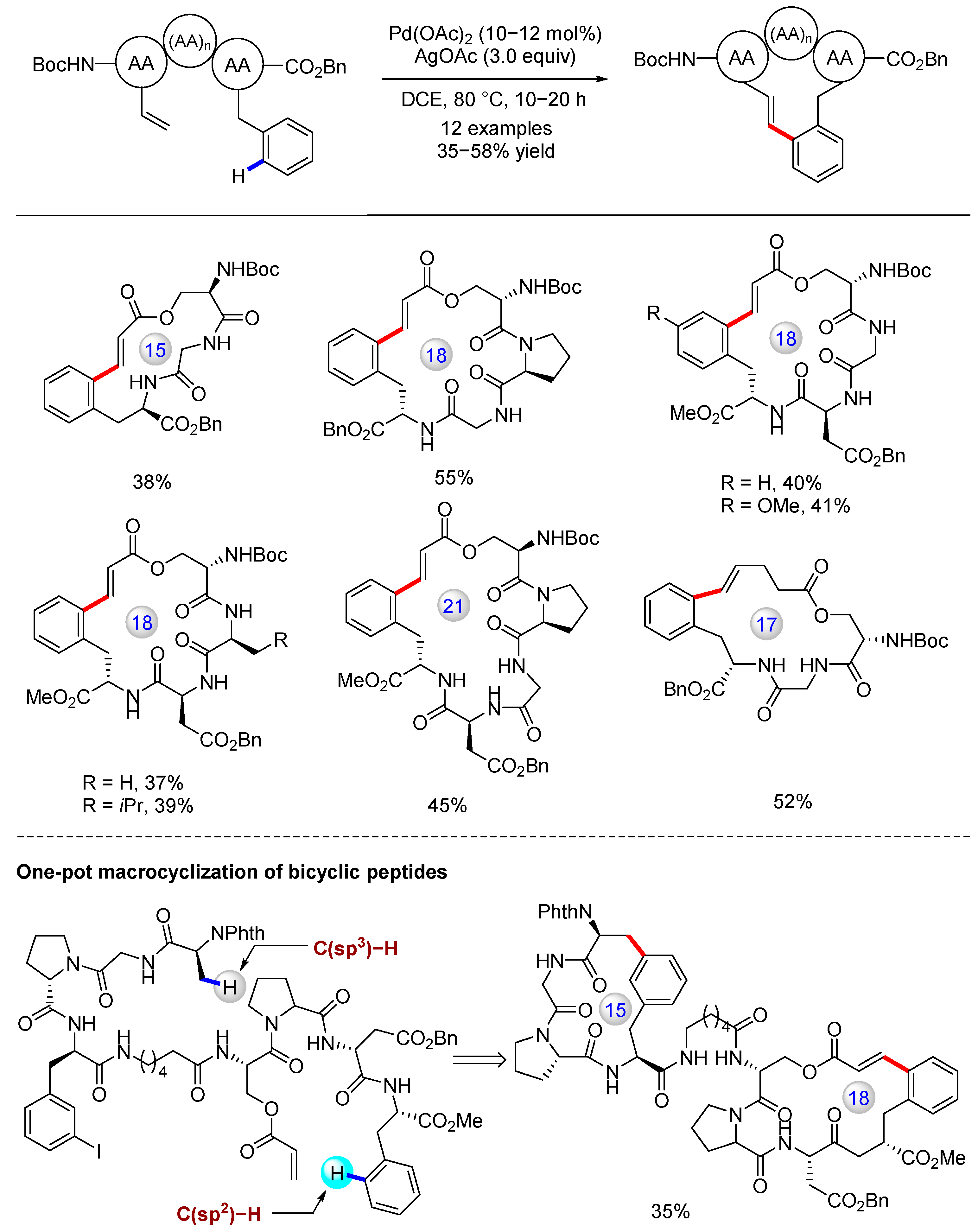 Catalysts 13 00438 g014 Catalysts 13 00438 g014