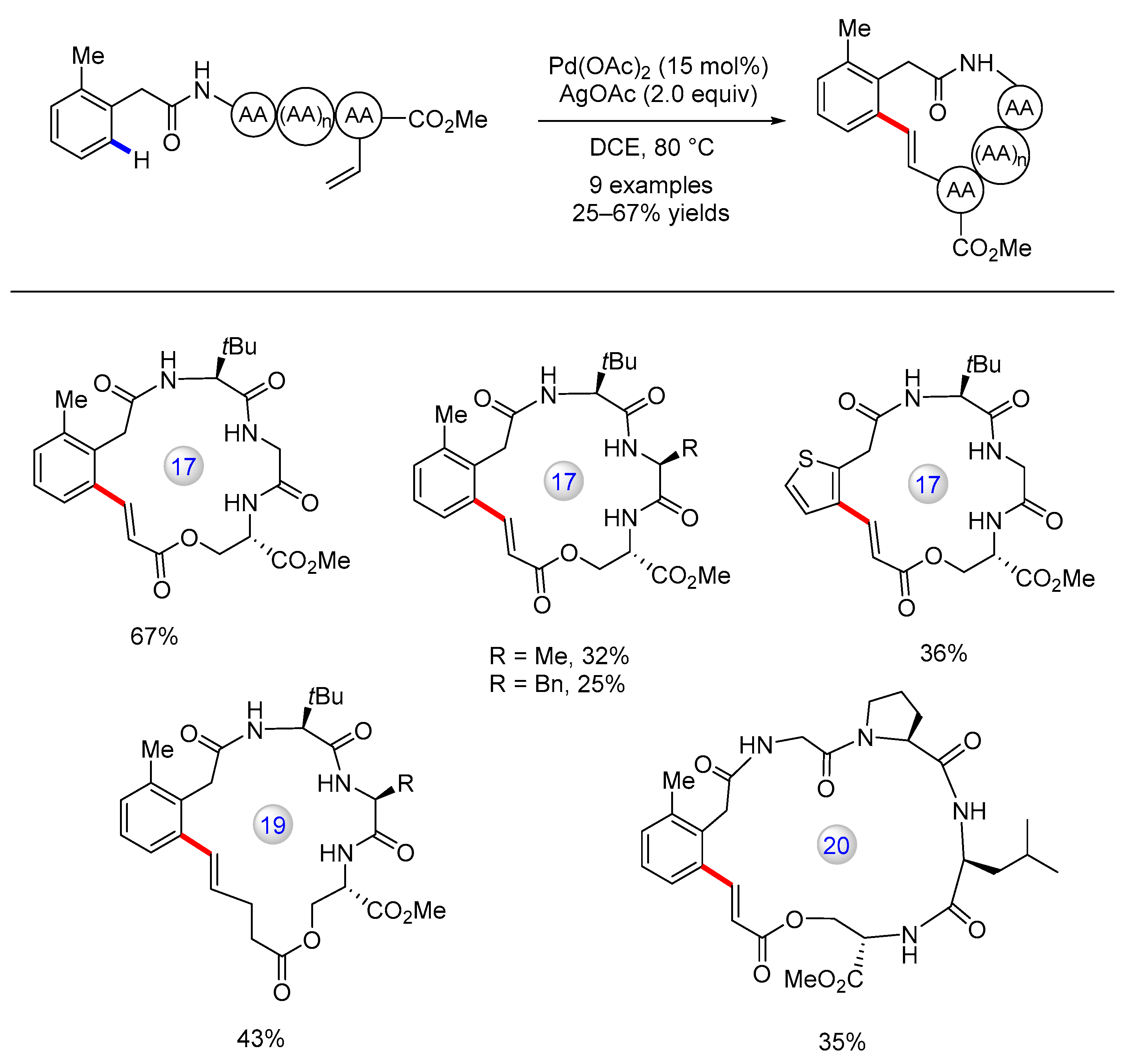 Catalysts 13 00438 g016 Catalysts 13 00438 g016
