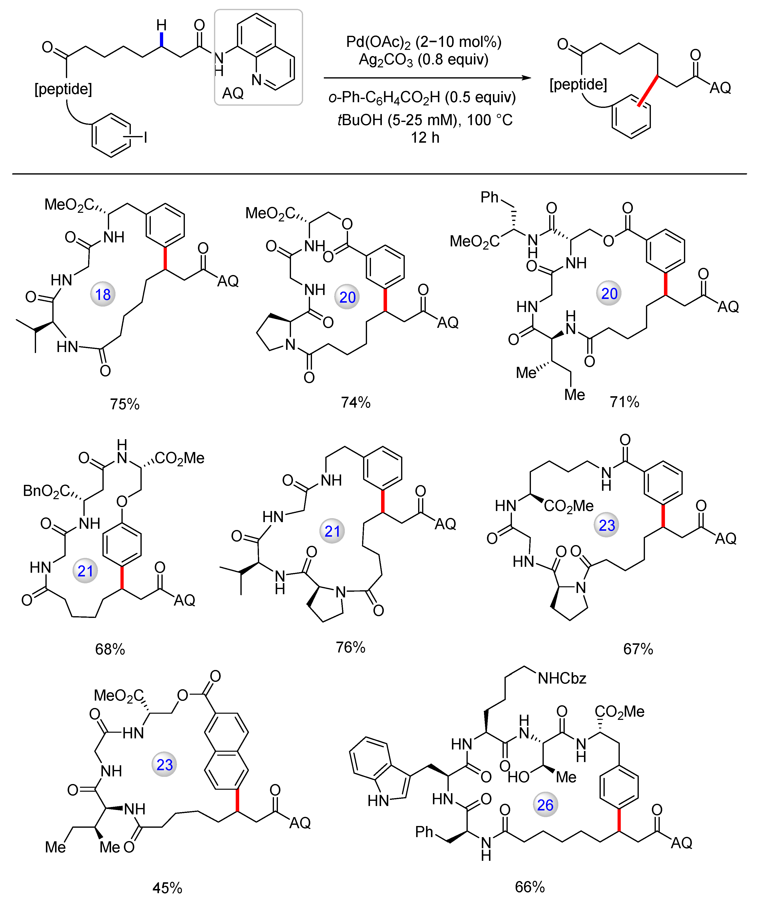 Catalysts 13 00438 g020 Catalysts 13 00438 g020