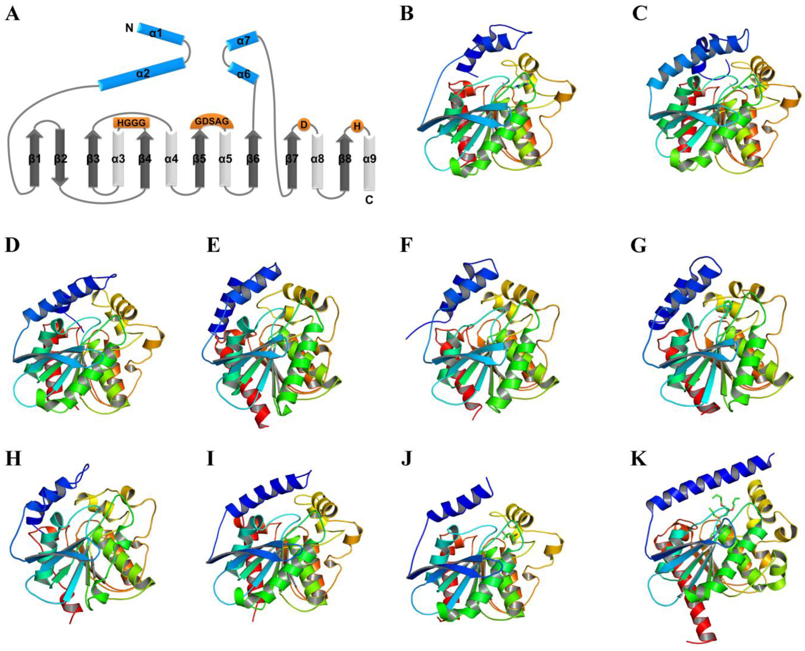 Catalysts 13 00441 g001