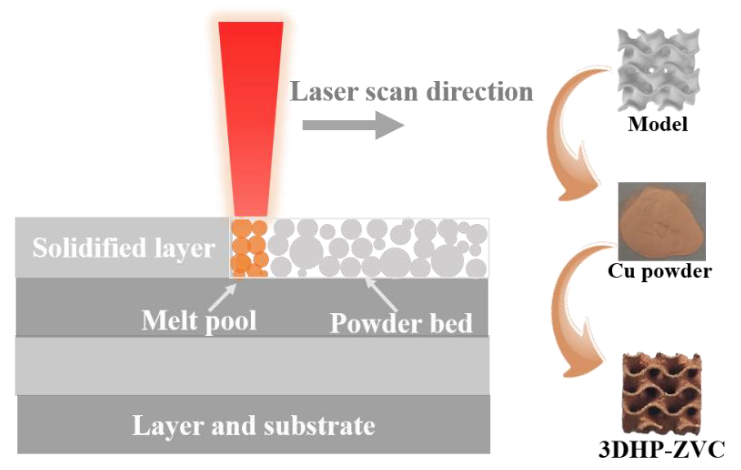 Catalysts 13 00446 g006 550