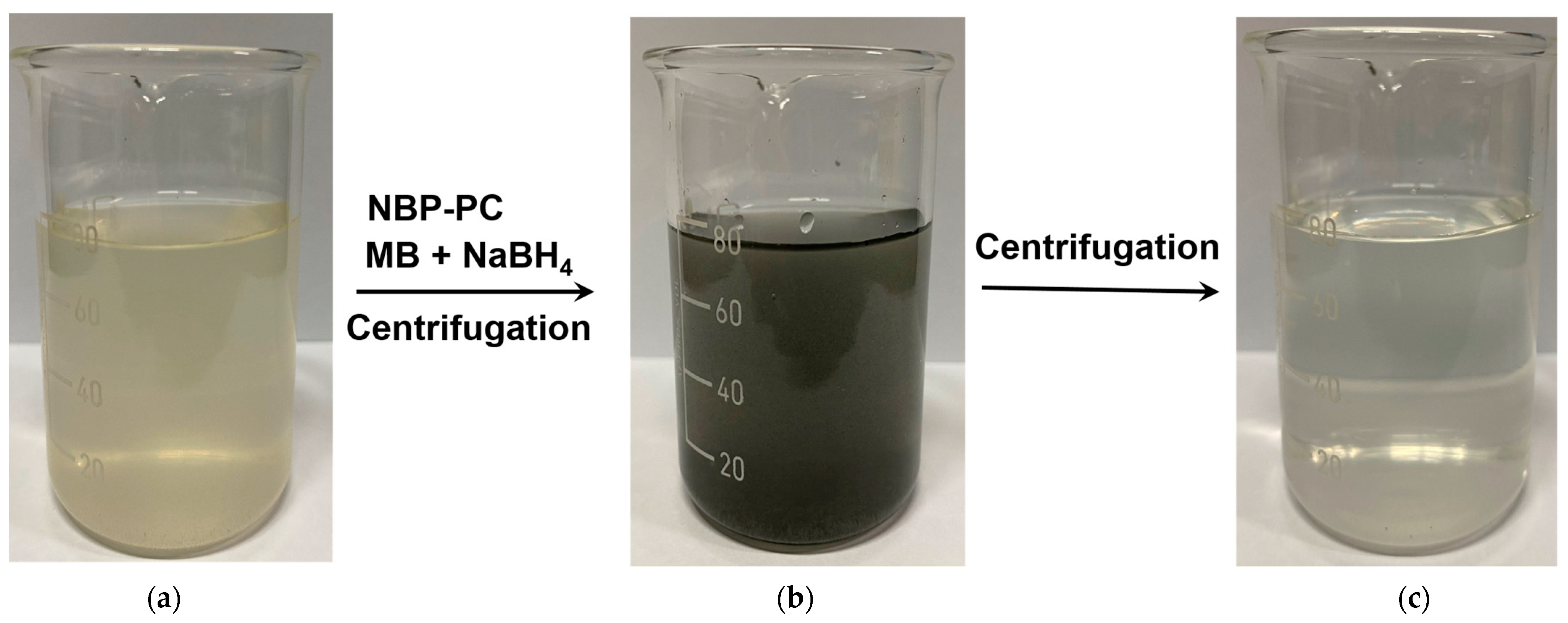 Catalysts 13 00449 g009 Catalysts 13 00449 g009