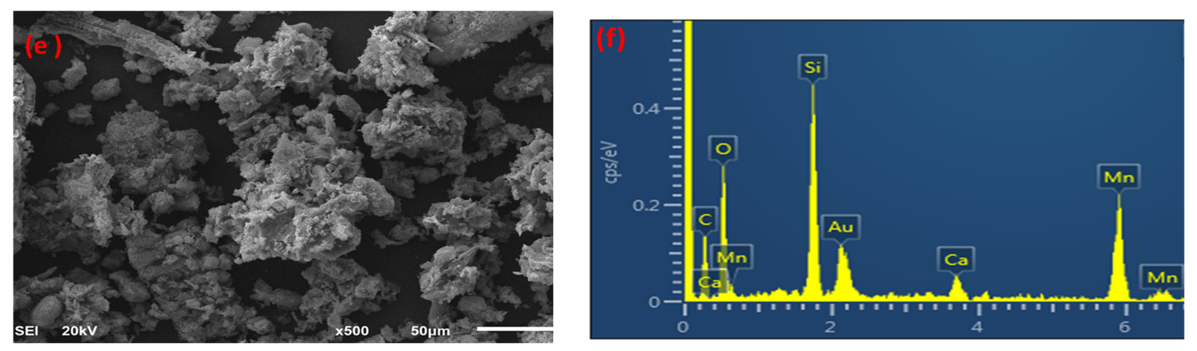 Catalysts 13 00451 g002b Catalysts 13 00451 g002b
