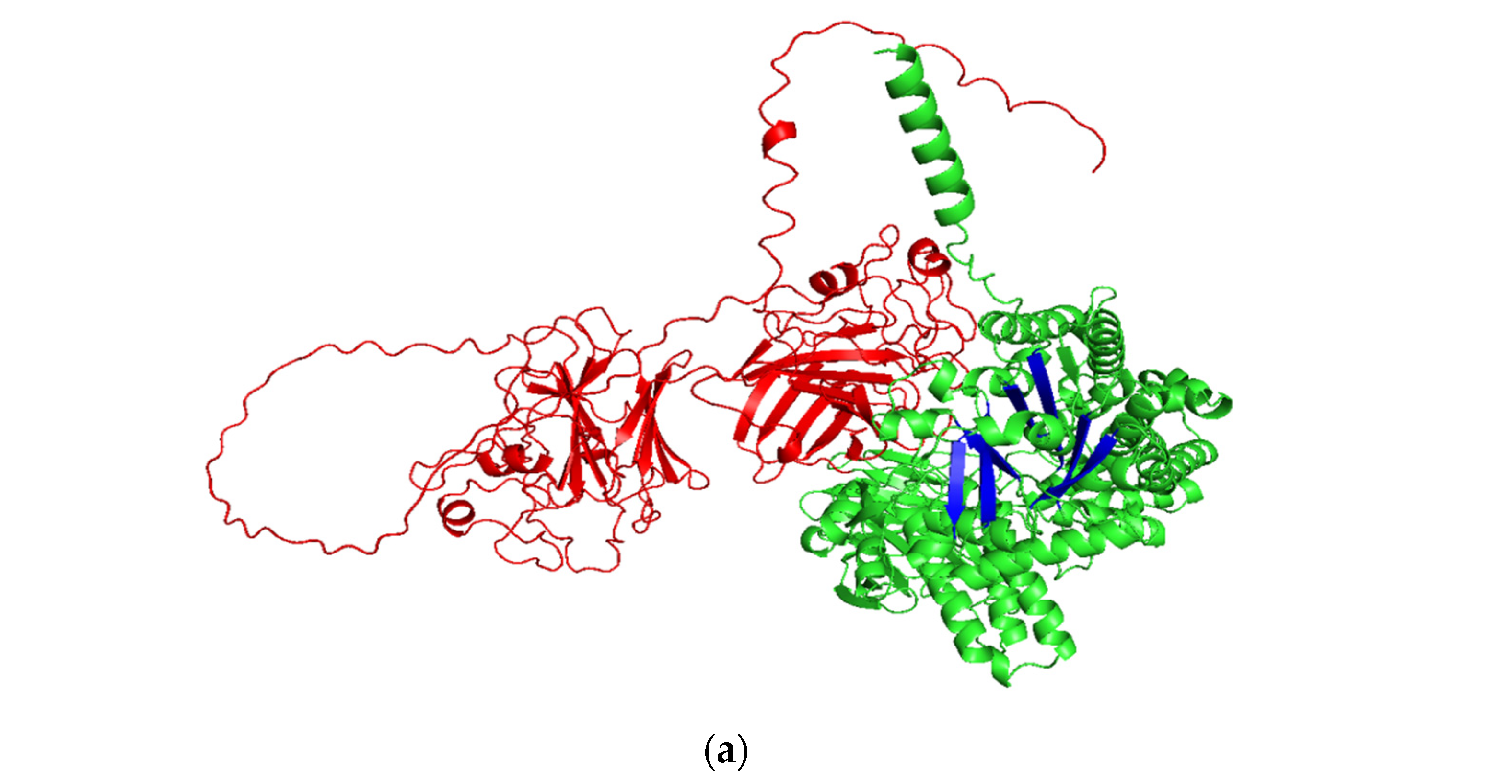 Catalysts 13 00453 g001a Catalysts 13 00453 g001a