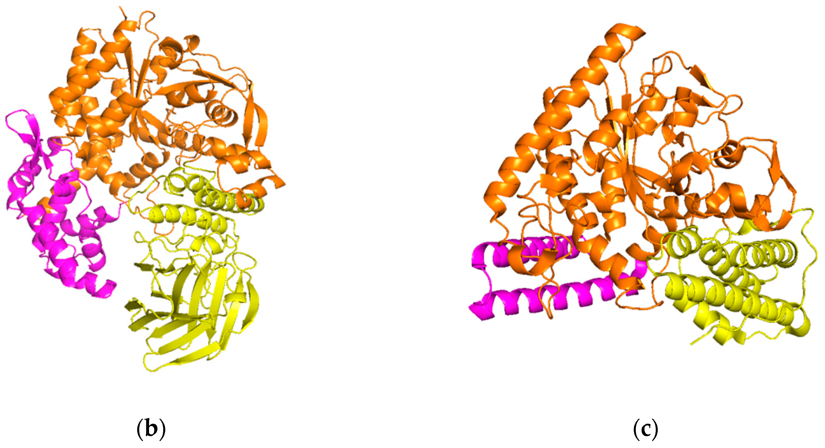 Catalysts 13 00453 g001b Catalysts 13 00453 g001b