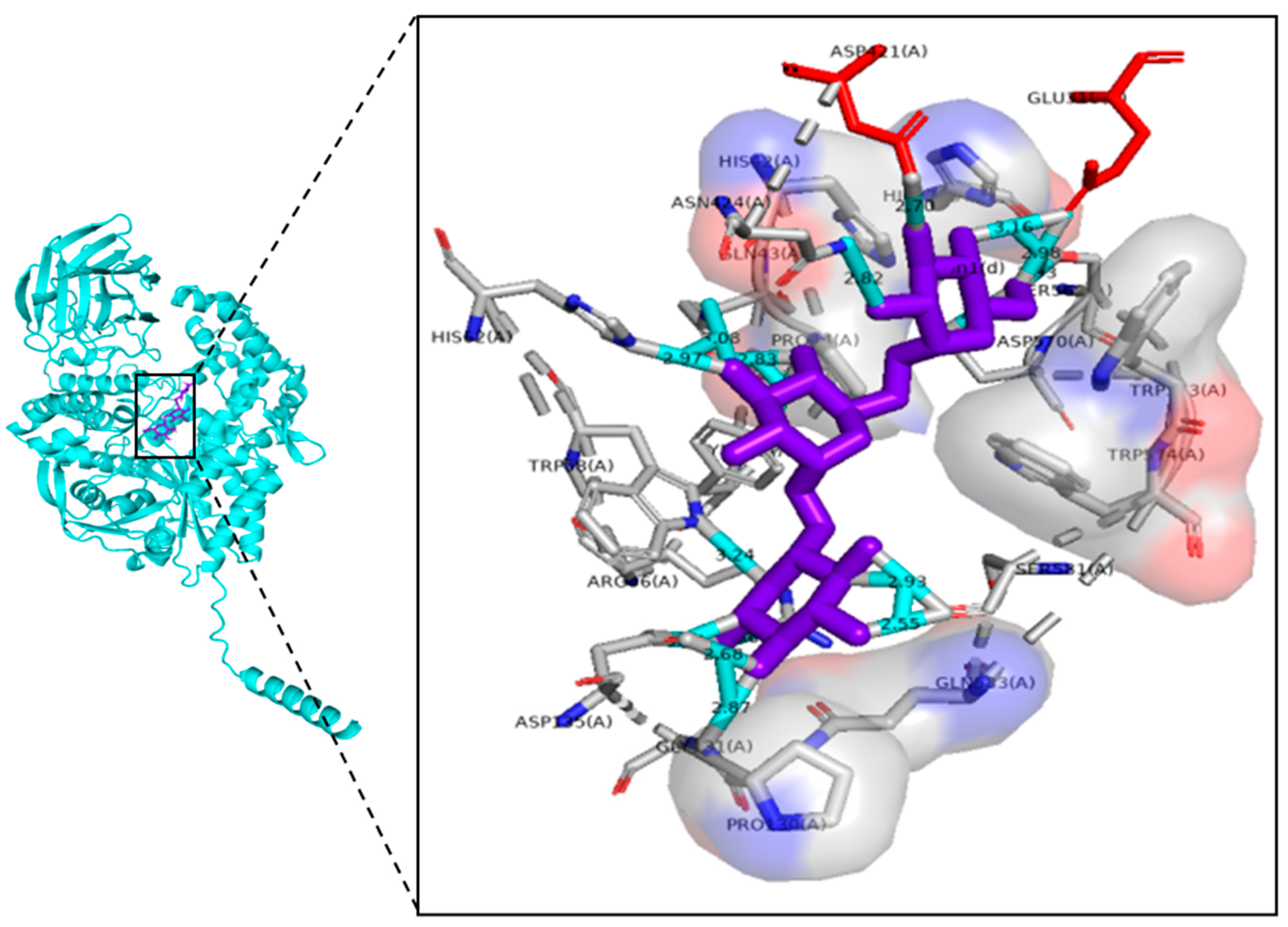 Catalysts 13 00453 g008 Catalysts 13 00453 g008