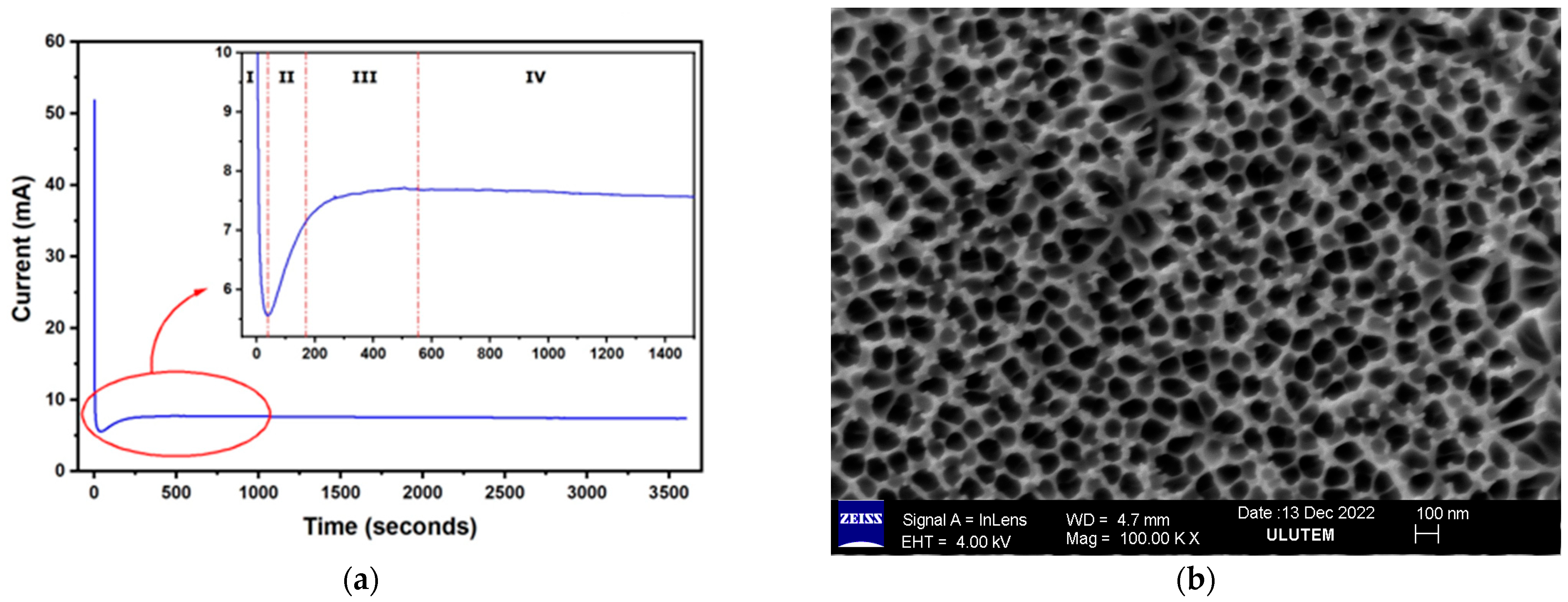 Catalysts 13 00459 g001 Catalysts 13 00459 g001