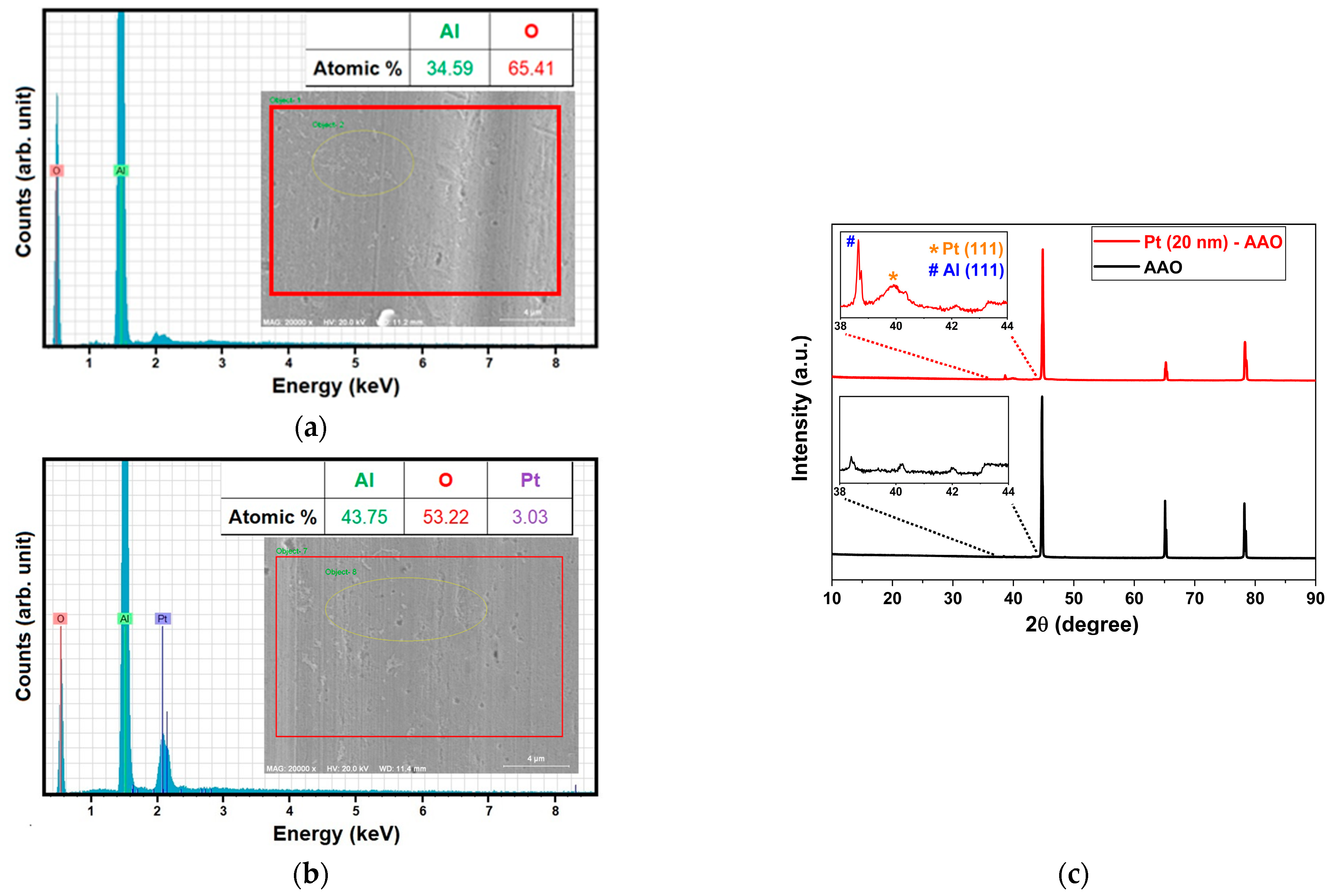 Catalysts 13 00459 g003 Catalysts 13 00459 g003