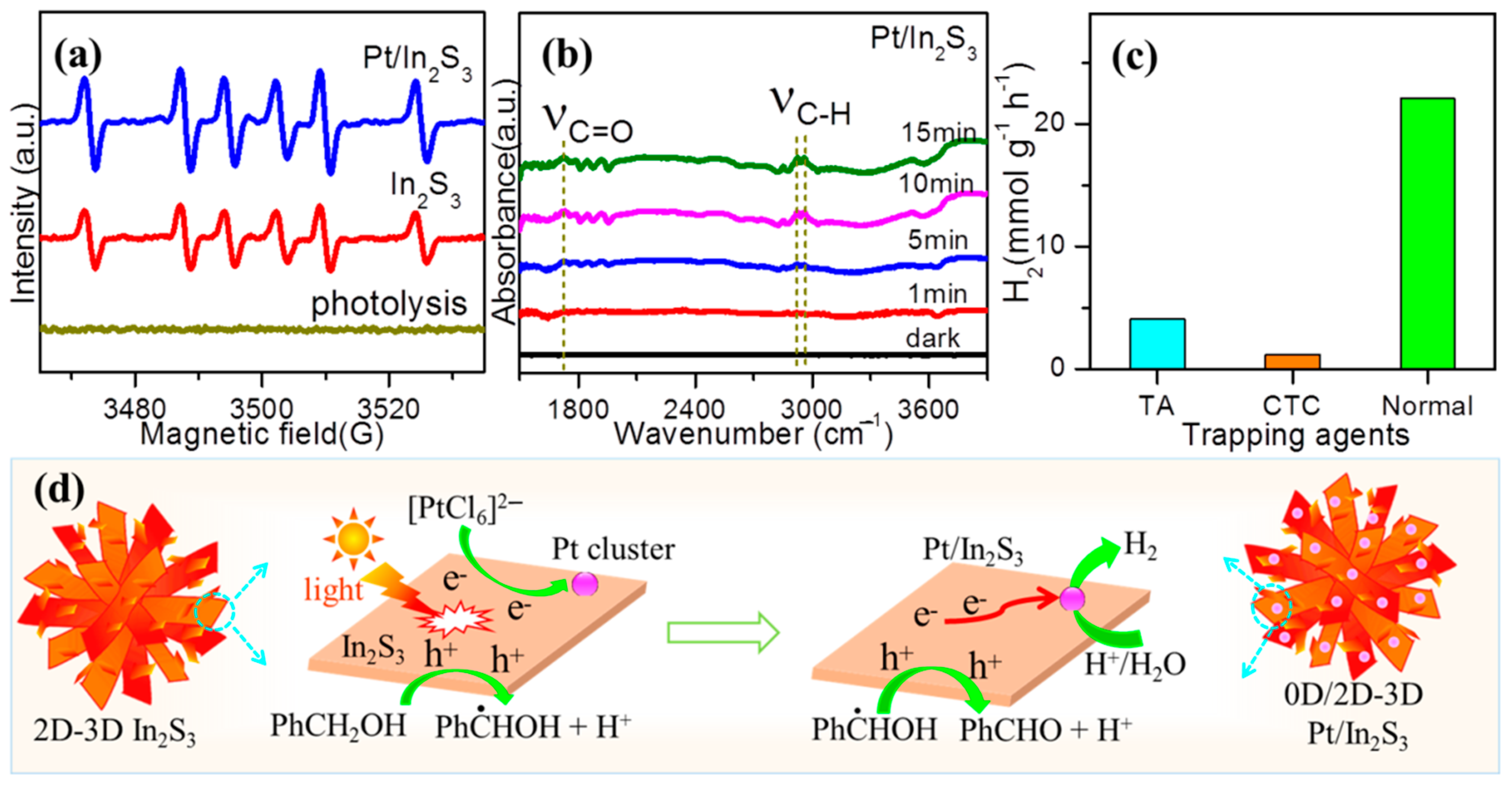 Catalysts 13 00461 g008
