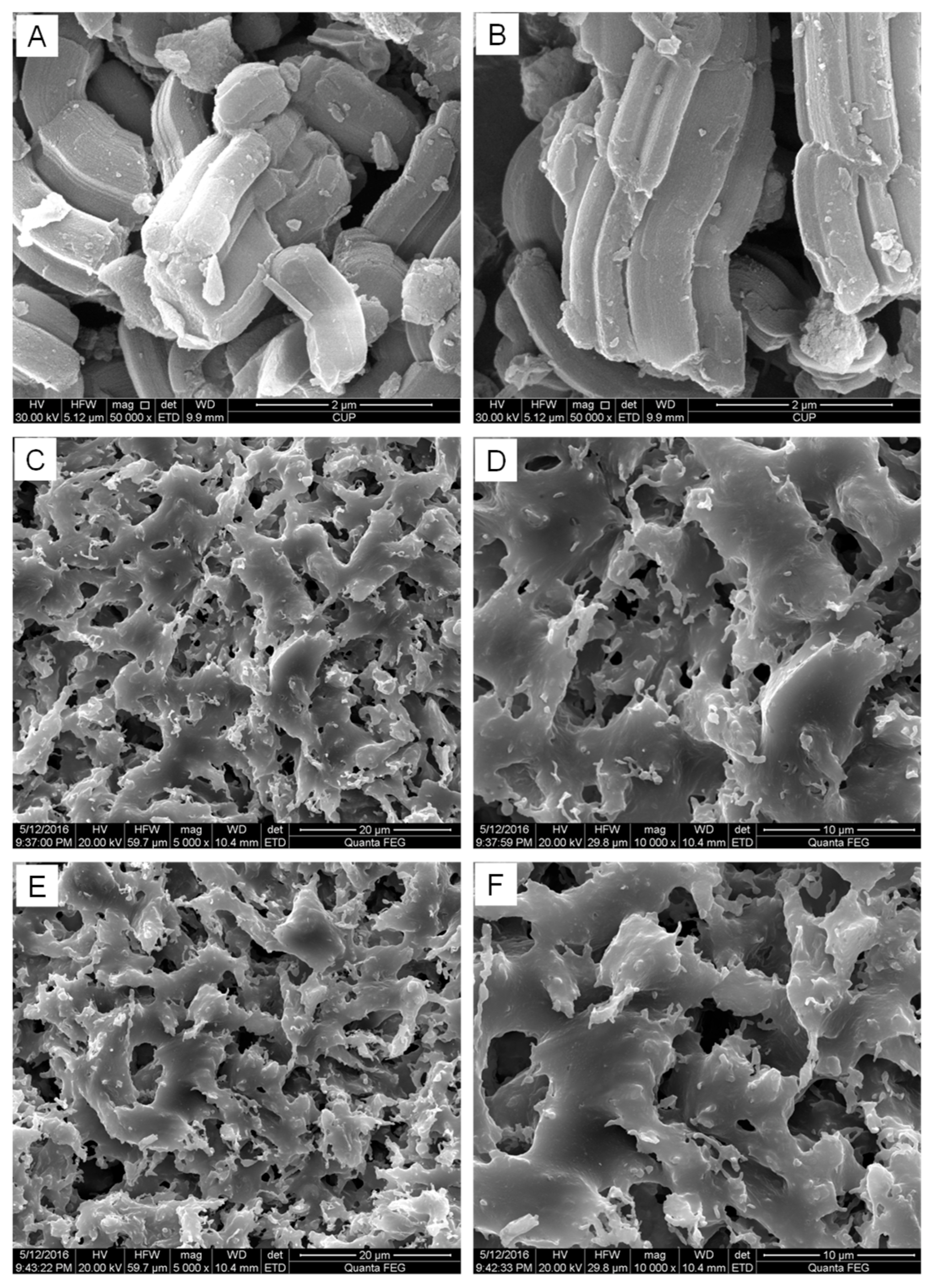 Catalysts 13 00464 g001 Catalysts 13 00464 g001