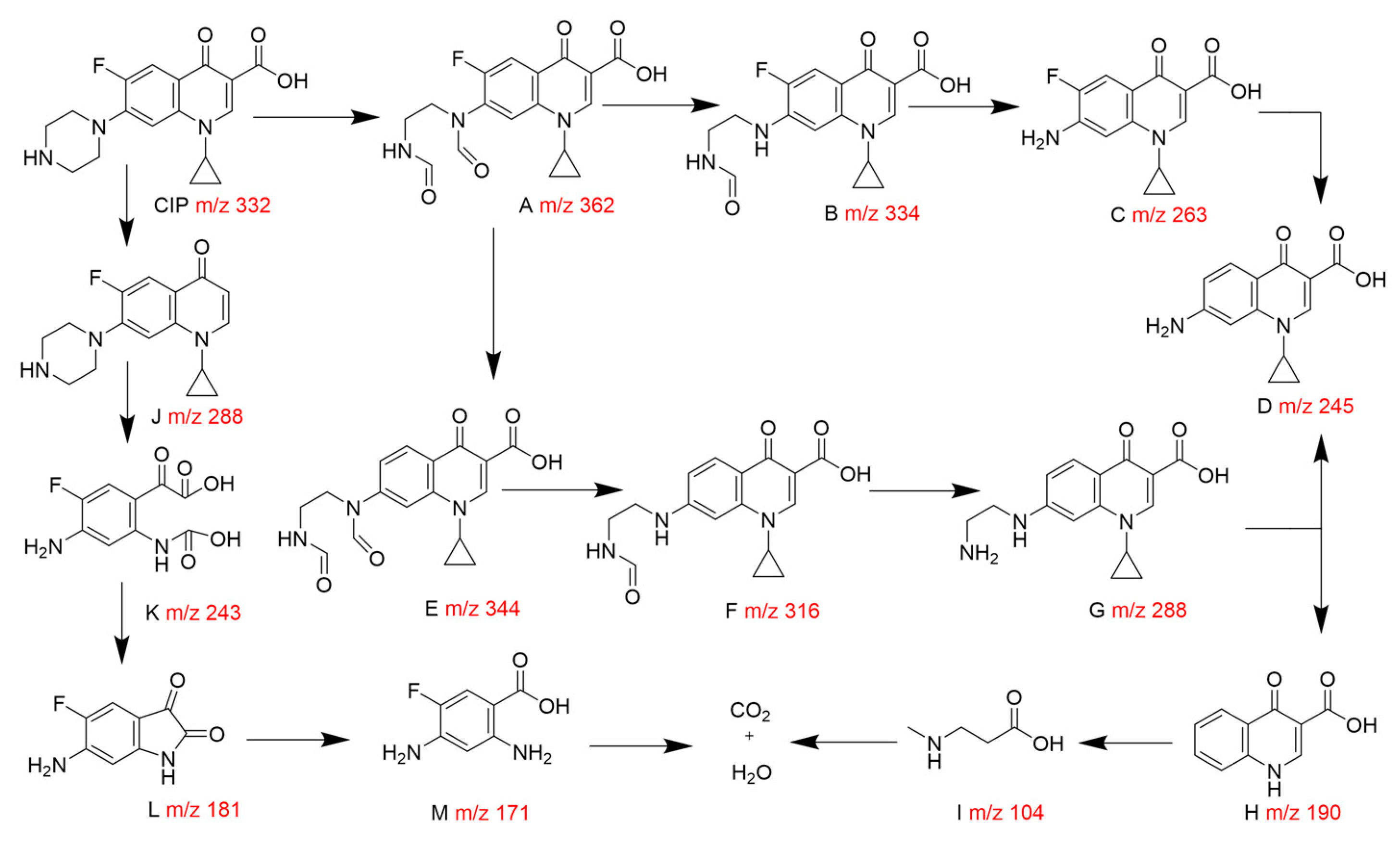 Catalysts 13 00469 g006
