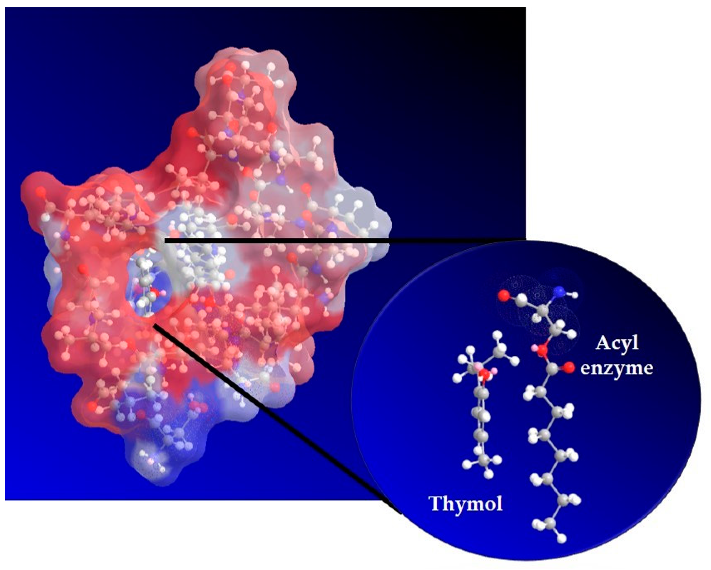 Catalysts 13 00473 g002 Catalysts 13 00473 g002