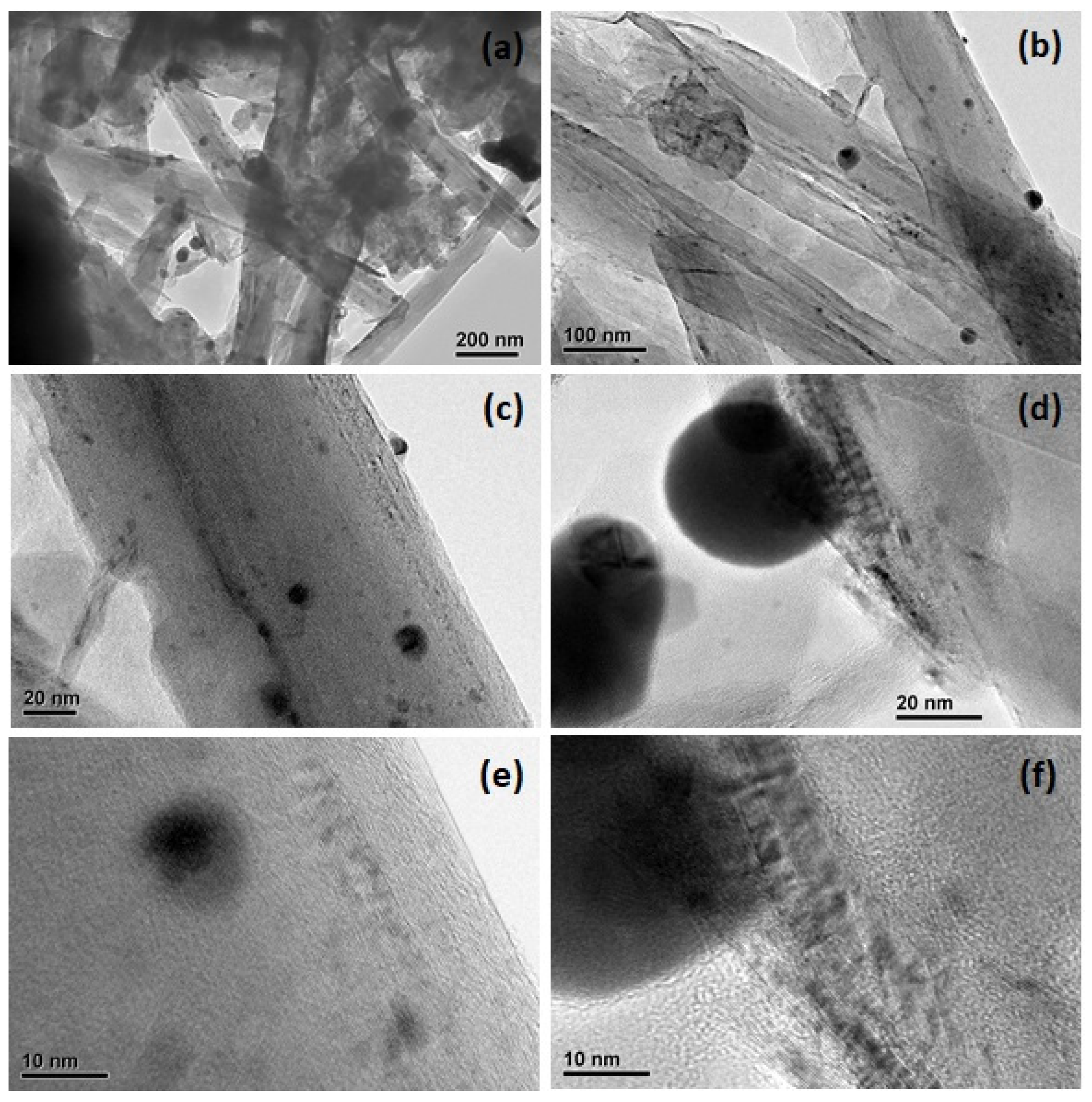 Catalysts 13 00476 g003