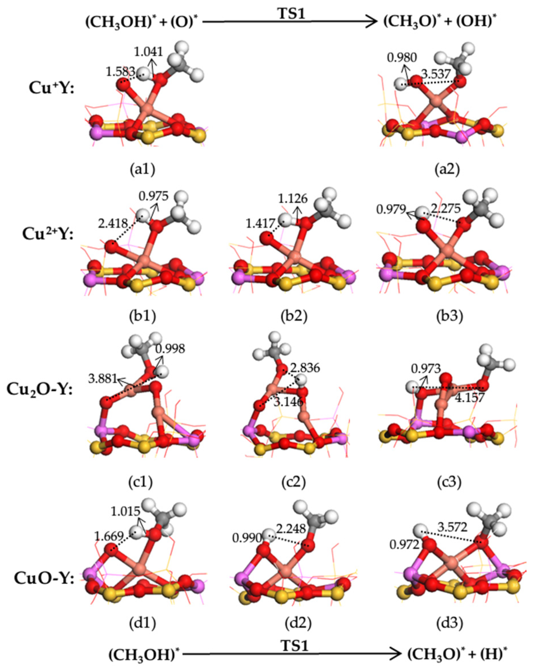 Catalysts 13 00477 g005