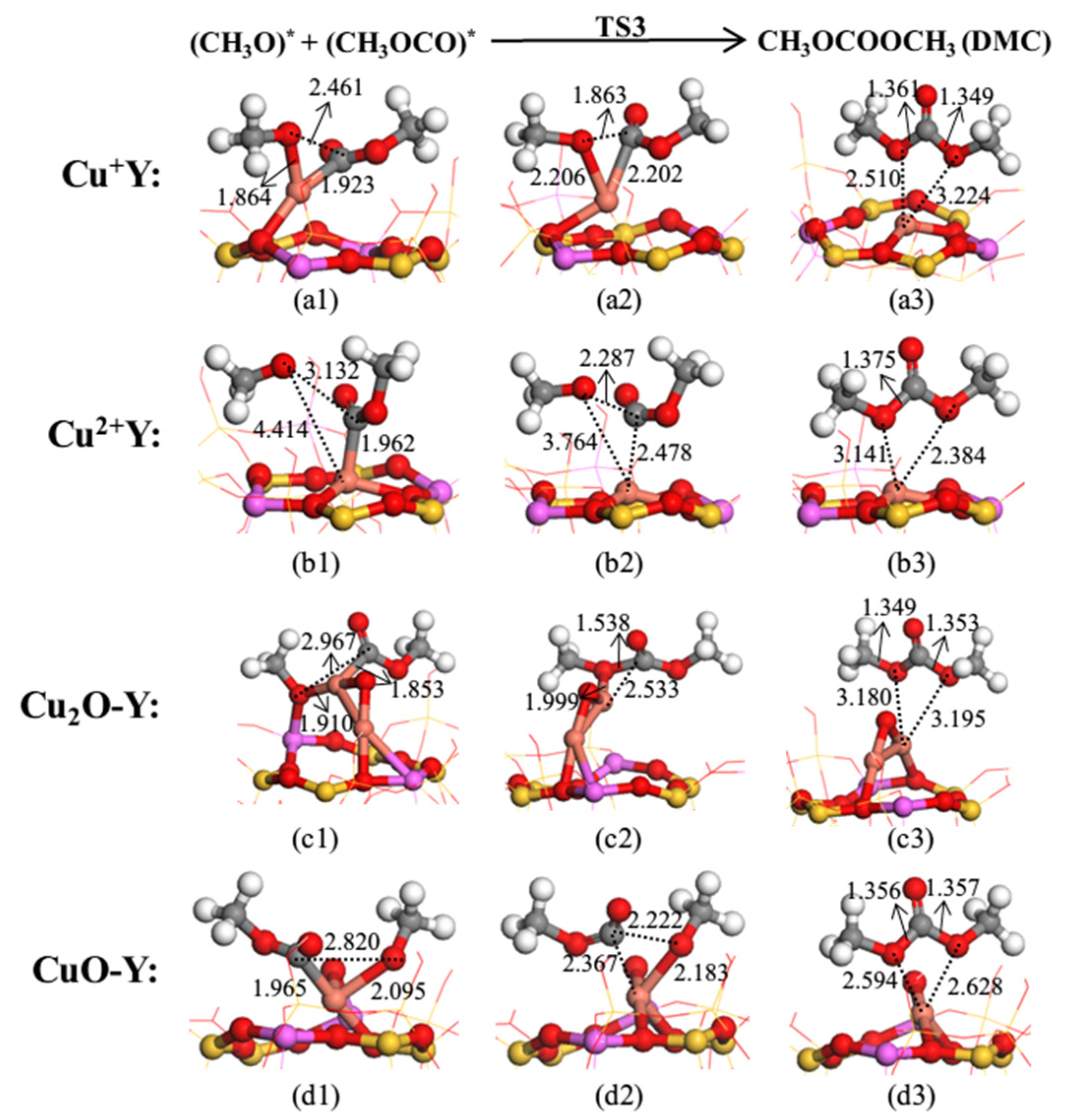 Catalysts 13 00477 g007