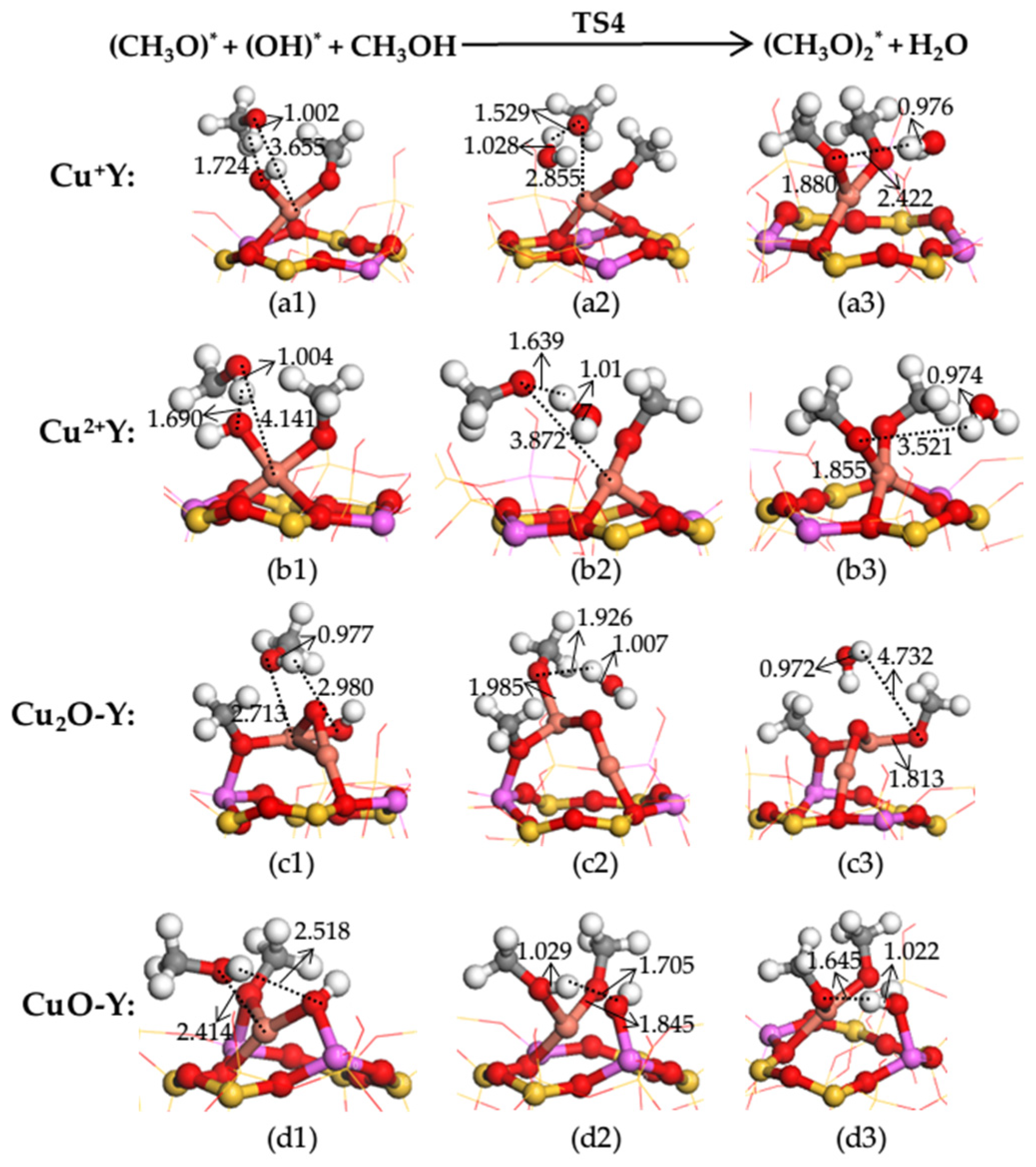 Catalysts 13 00477 g008