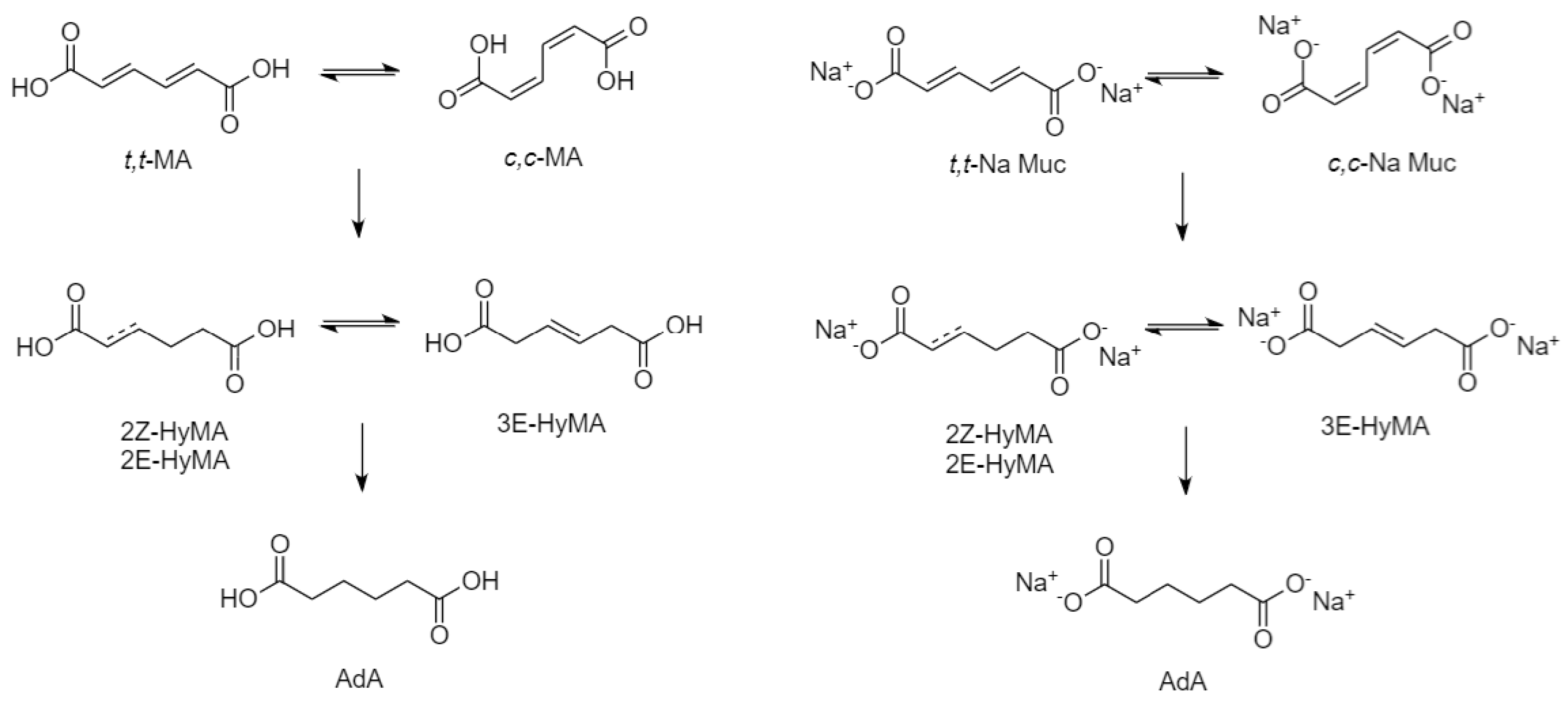 Catalysts 13 00486 g002
